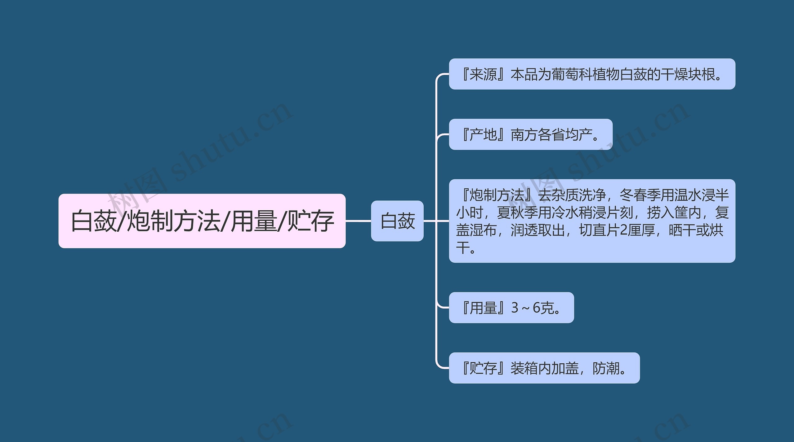 白蔹/炮制方法/用量/贮存思维导图