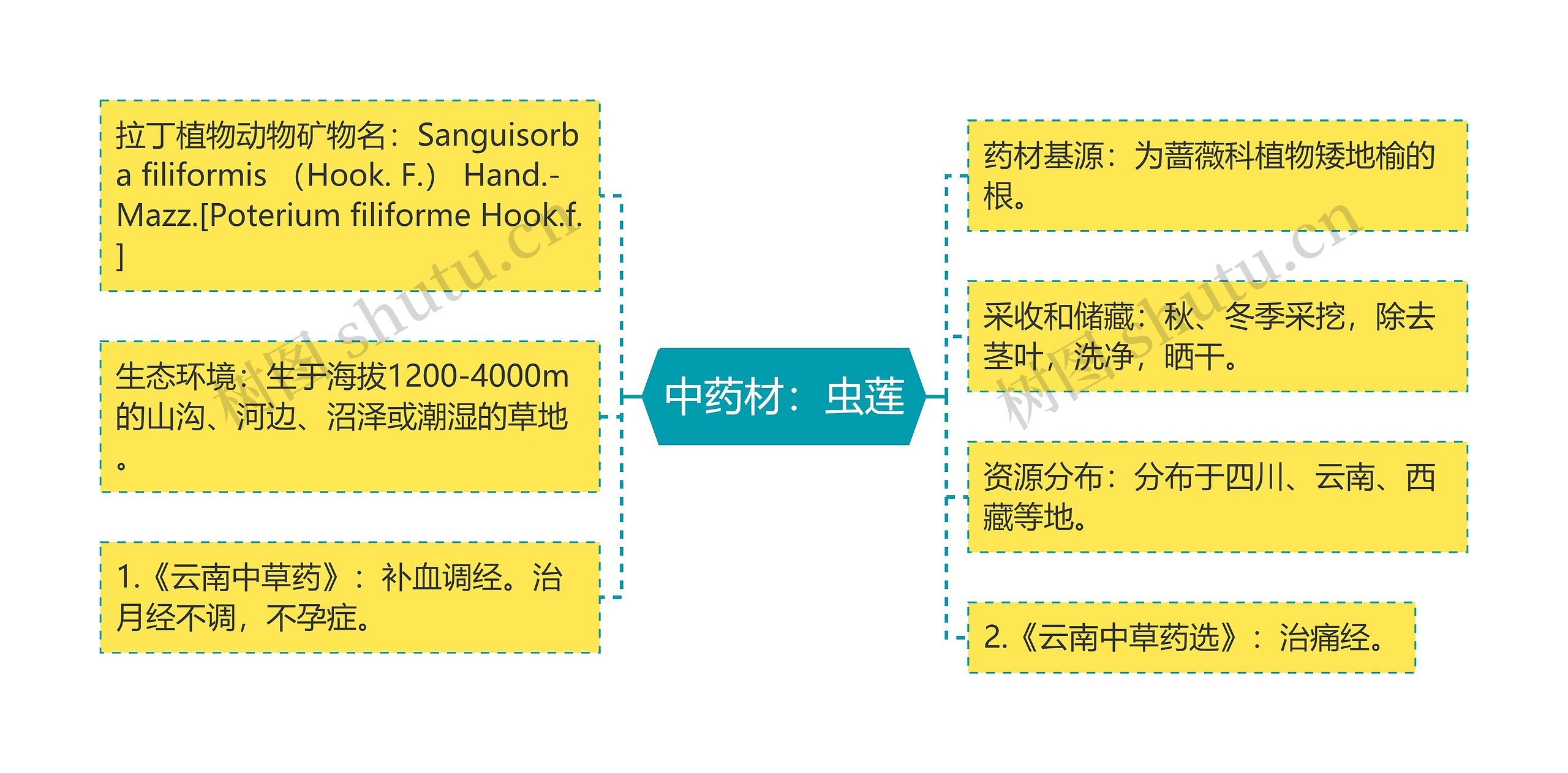 中药材：虫莲思维导图