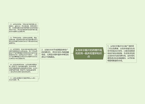 头孢呋辛酯片的药理作用和应用--临床药理学知识点