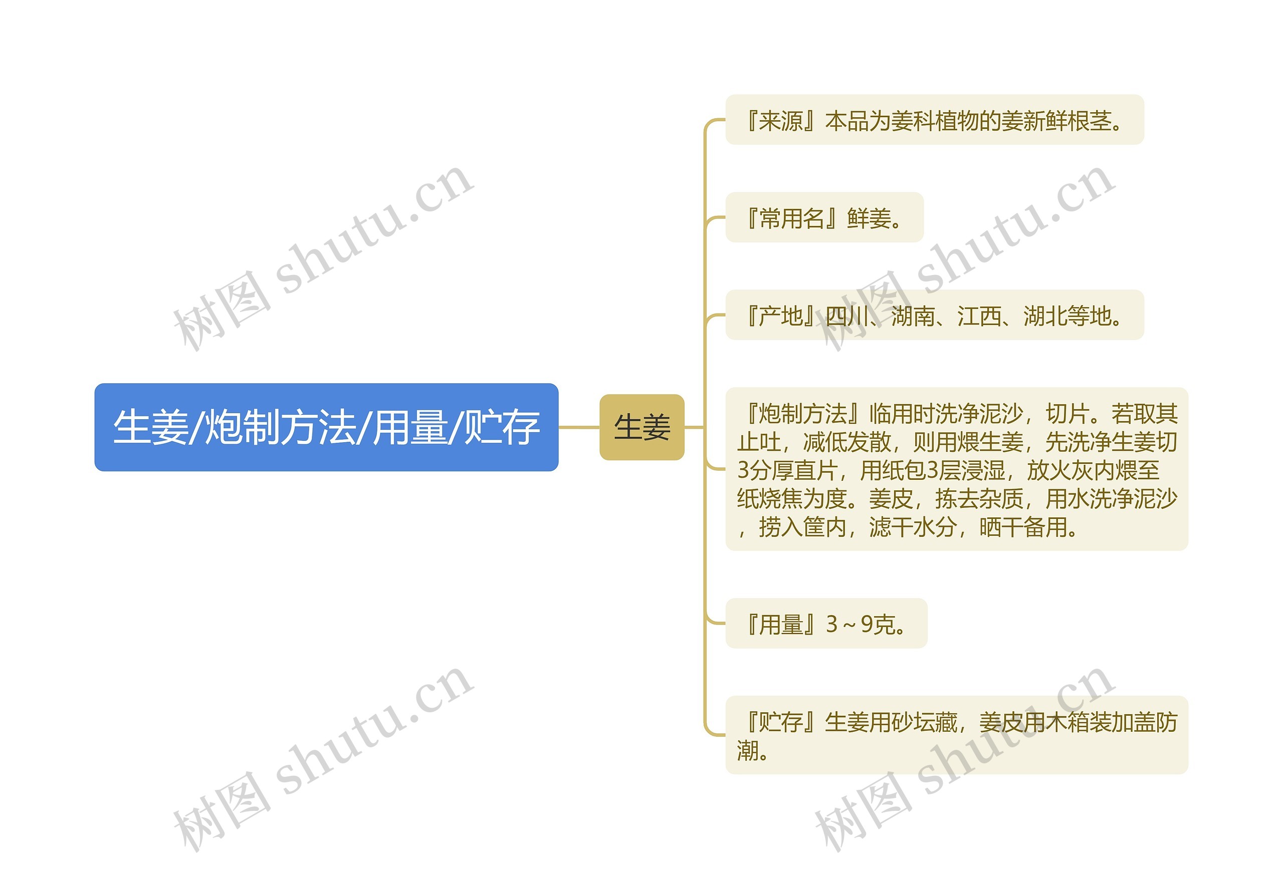 生姜/炮制方法/用量/贮存思维导图