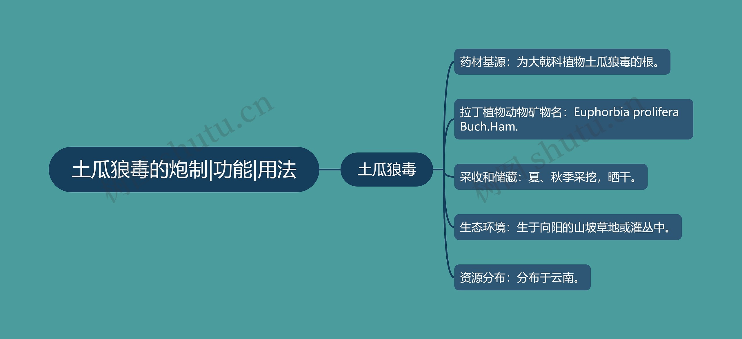 土瓜狼毒的炮制|功能|用法