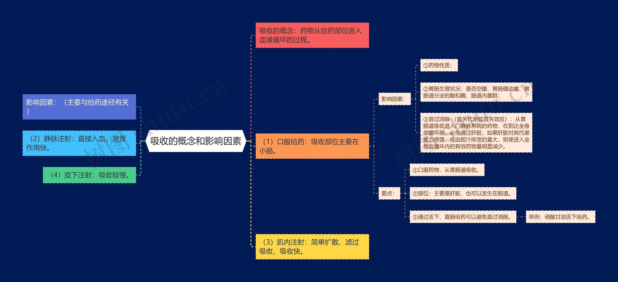 吸收的概念和影响因素思维导图