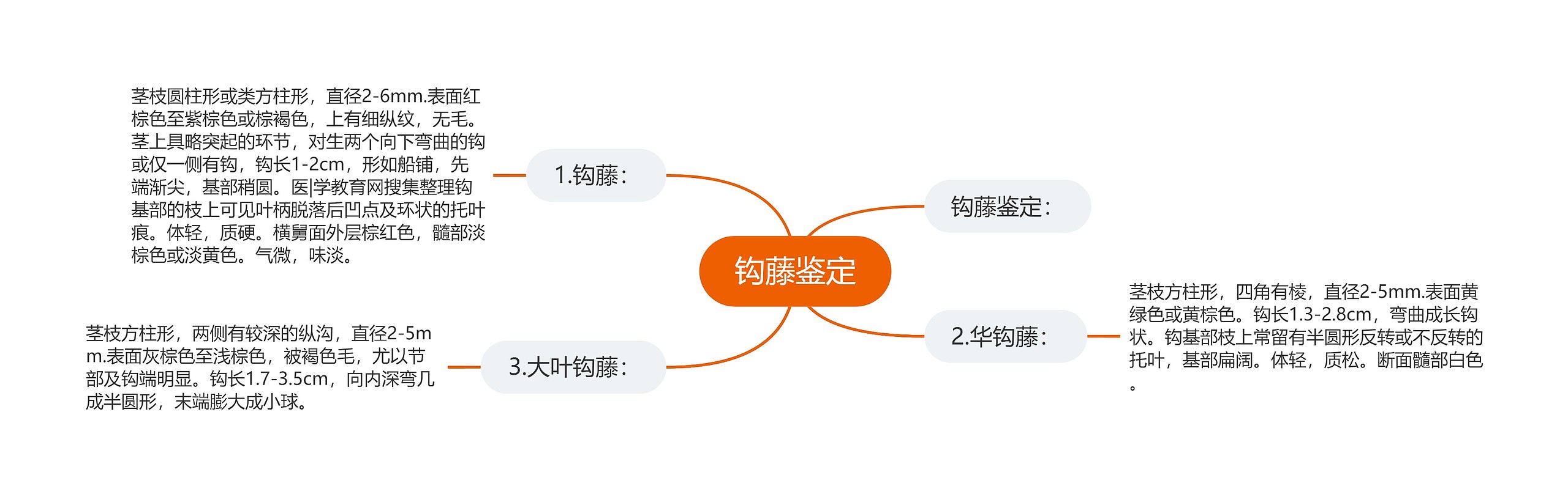 钩藤鉴定 钩藤鉴定