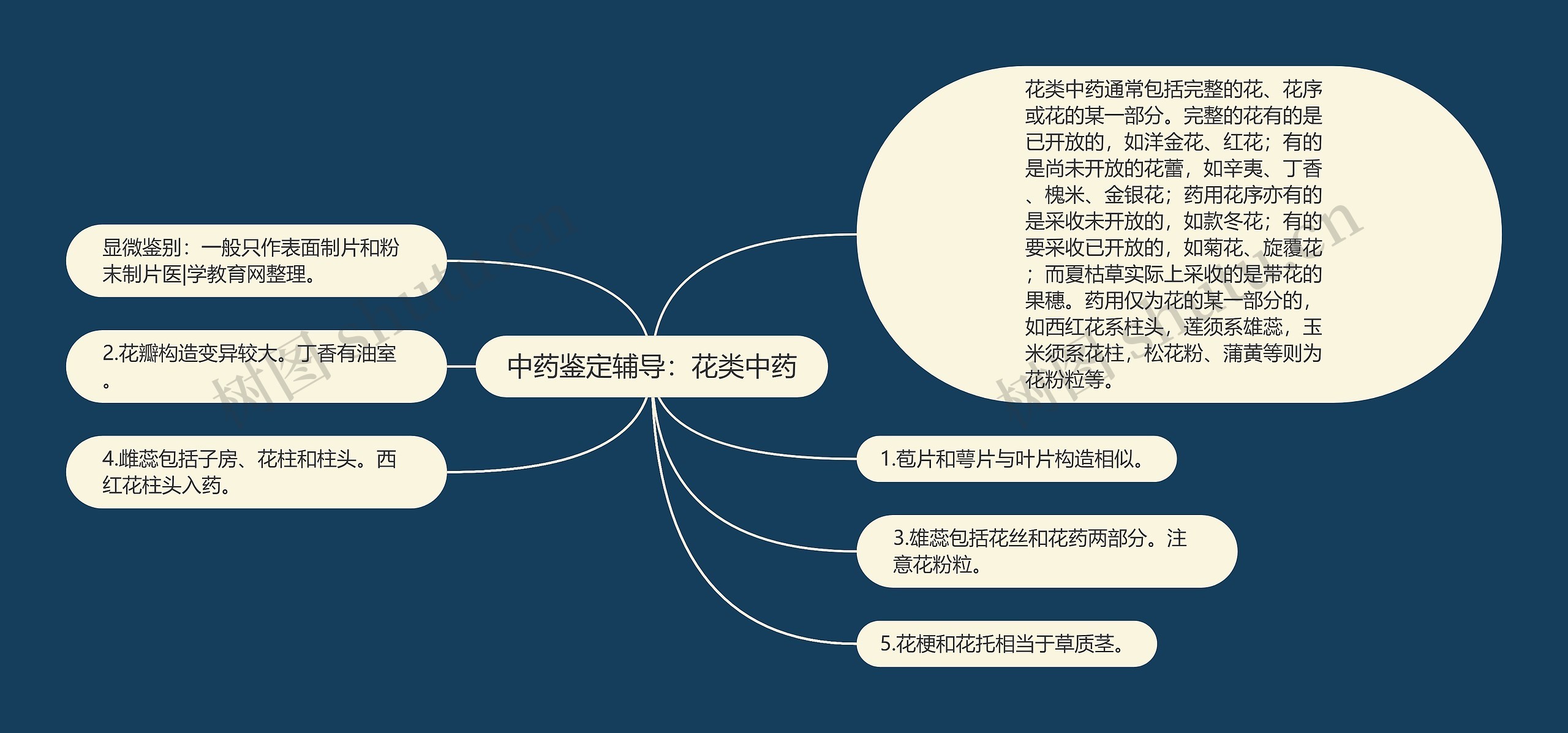 中药鉴定辅导：花类中药思维导图