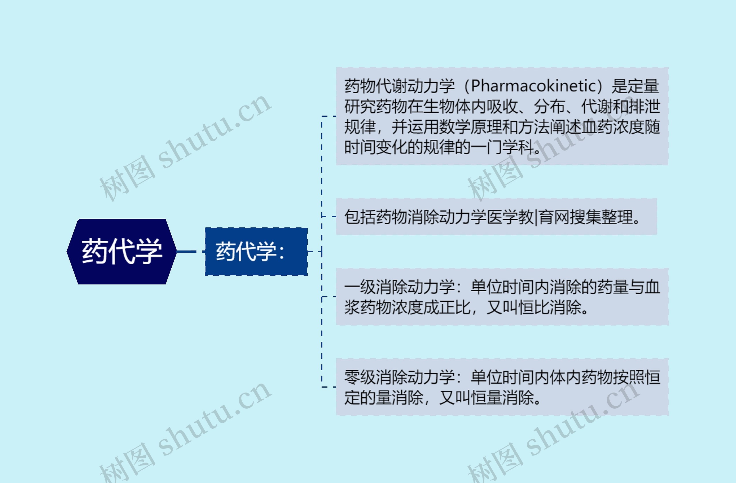 药代学思维导图