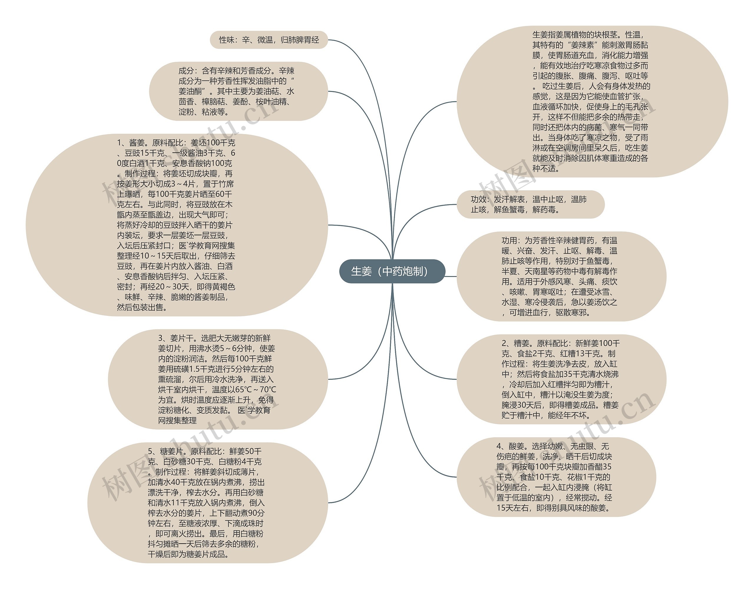 生姜（中药炮制）思维导图