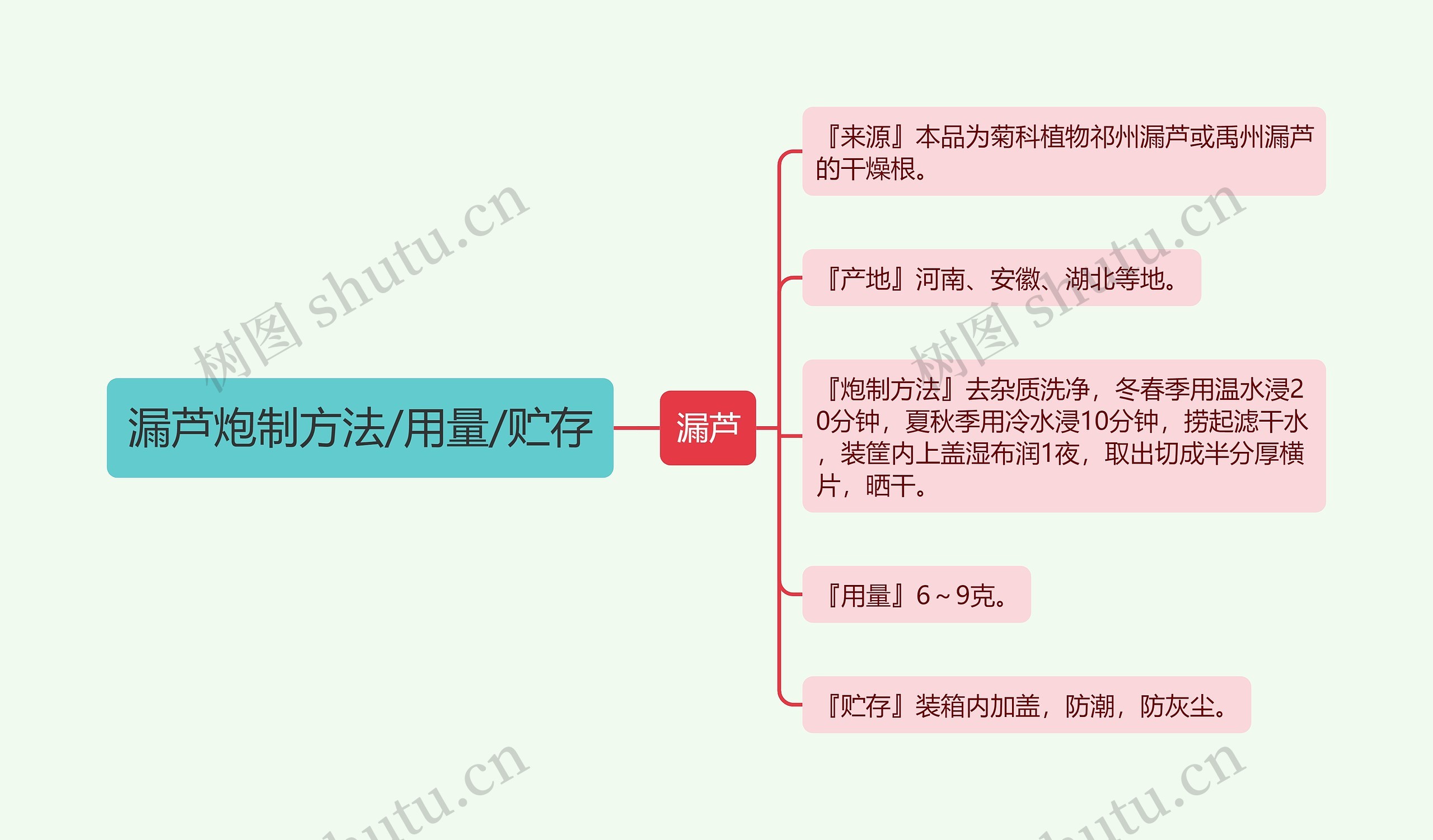 漏芦炮制方法/用量/贮存思维导图