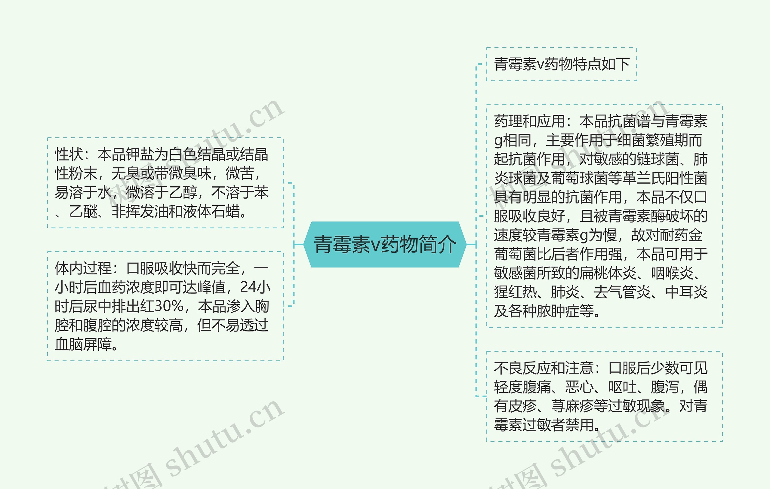 青霉素v药物简介