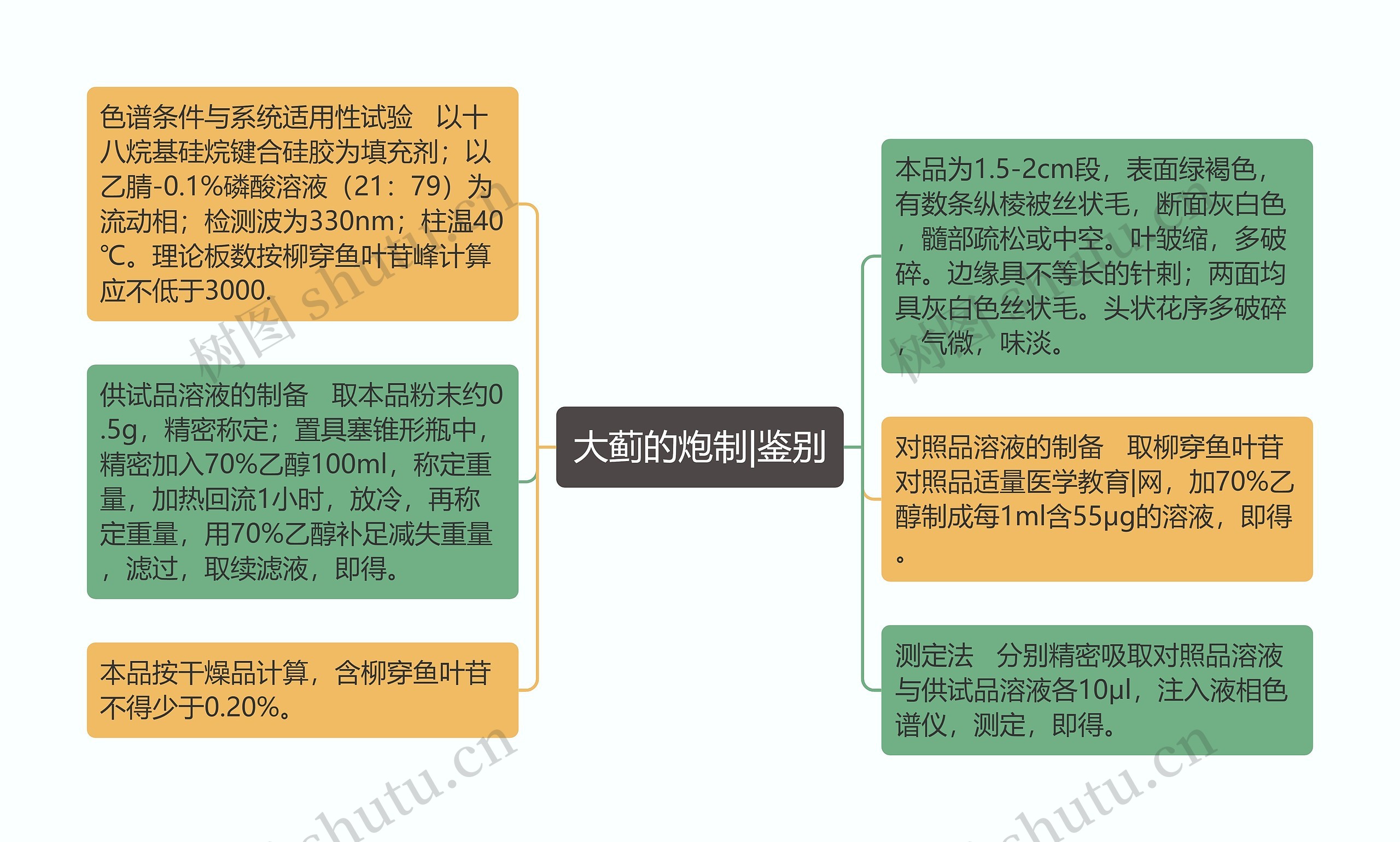 大蓟的炮制|鉴别思维导图