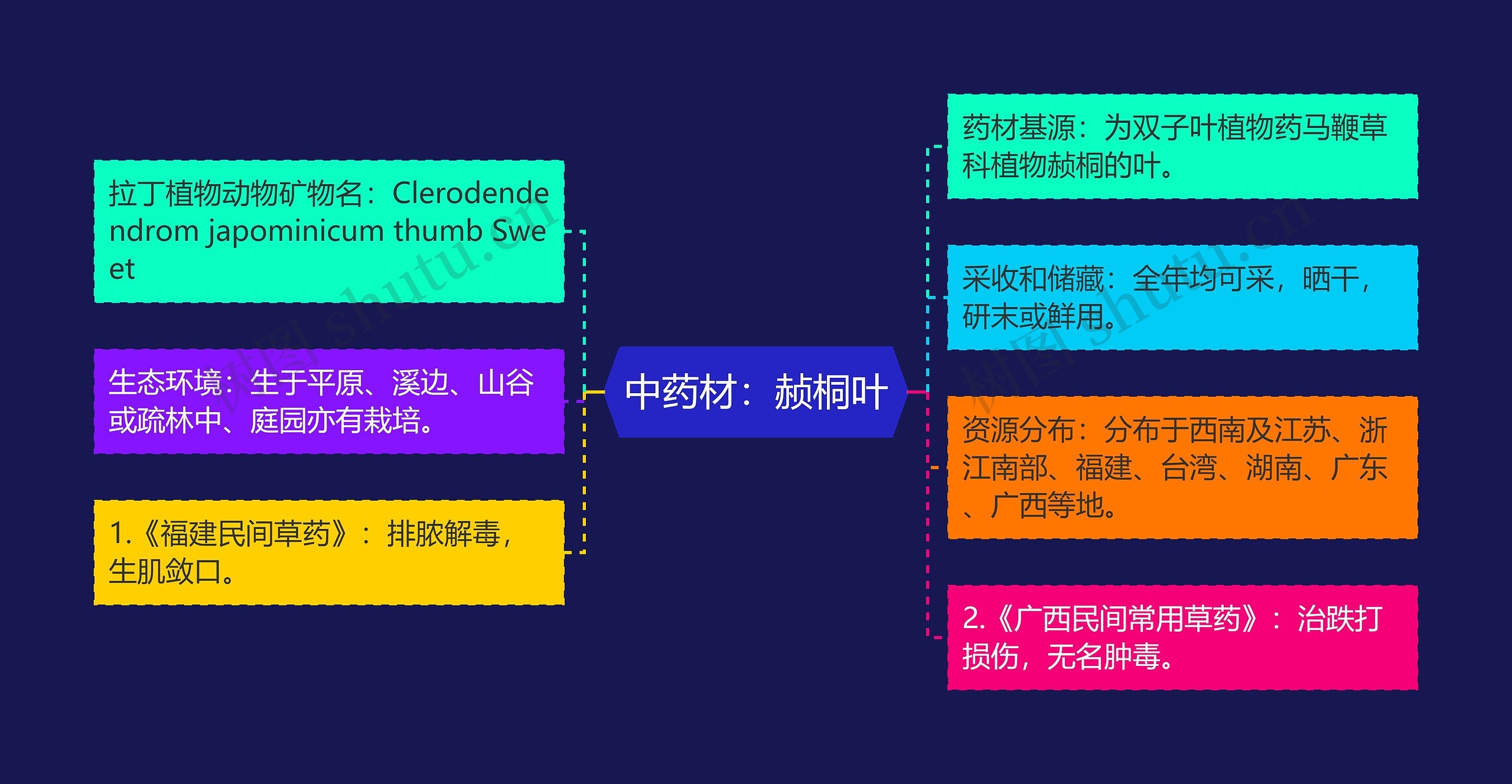 中药材：赪桐叶思维导图