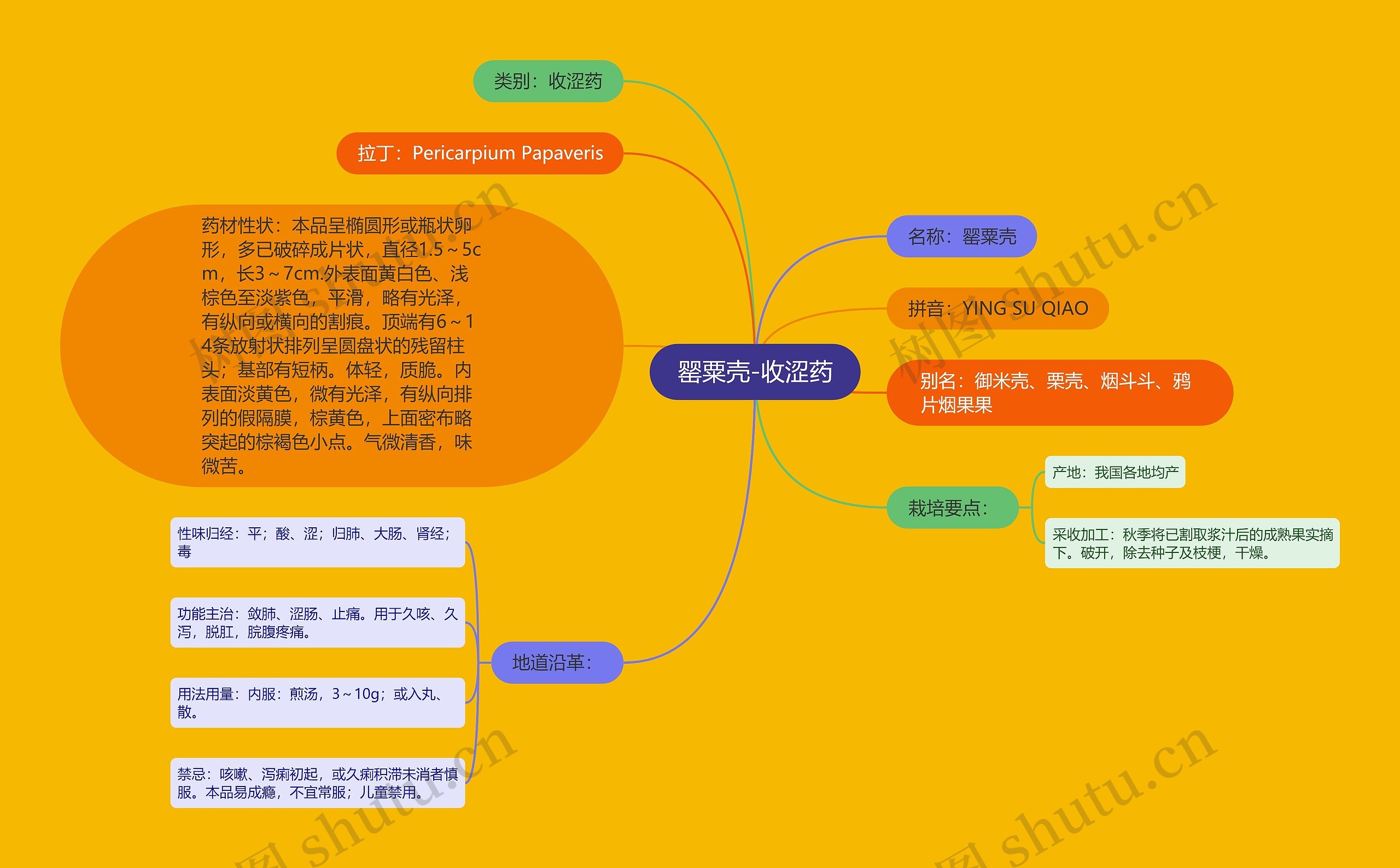 罂粟壳-收涩药思维导图