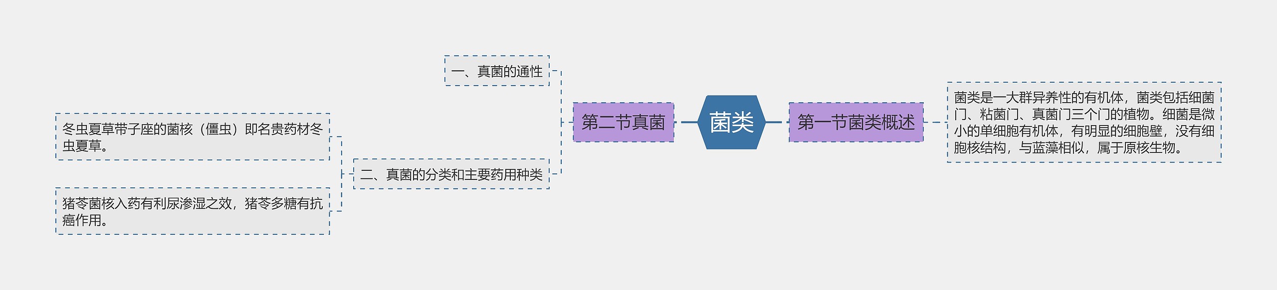 菌类思维导图