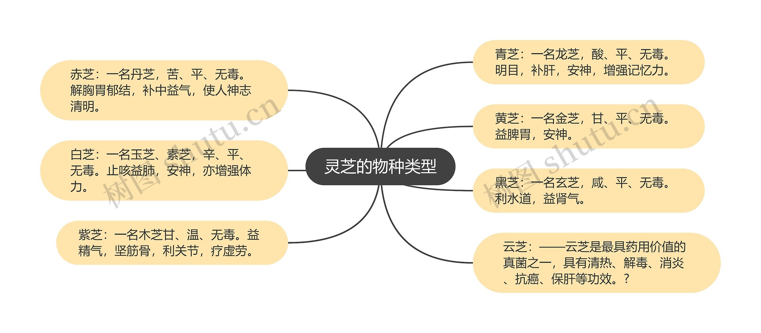 灵芝的物种类型思维导图