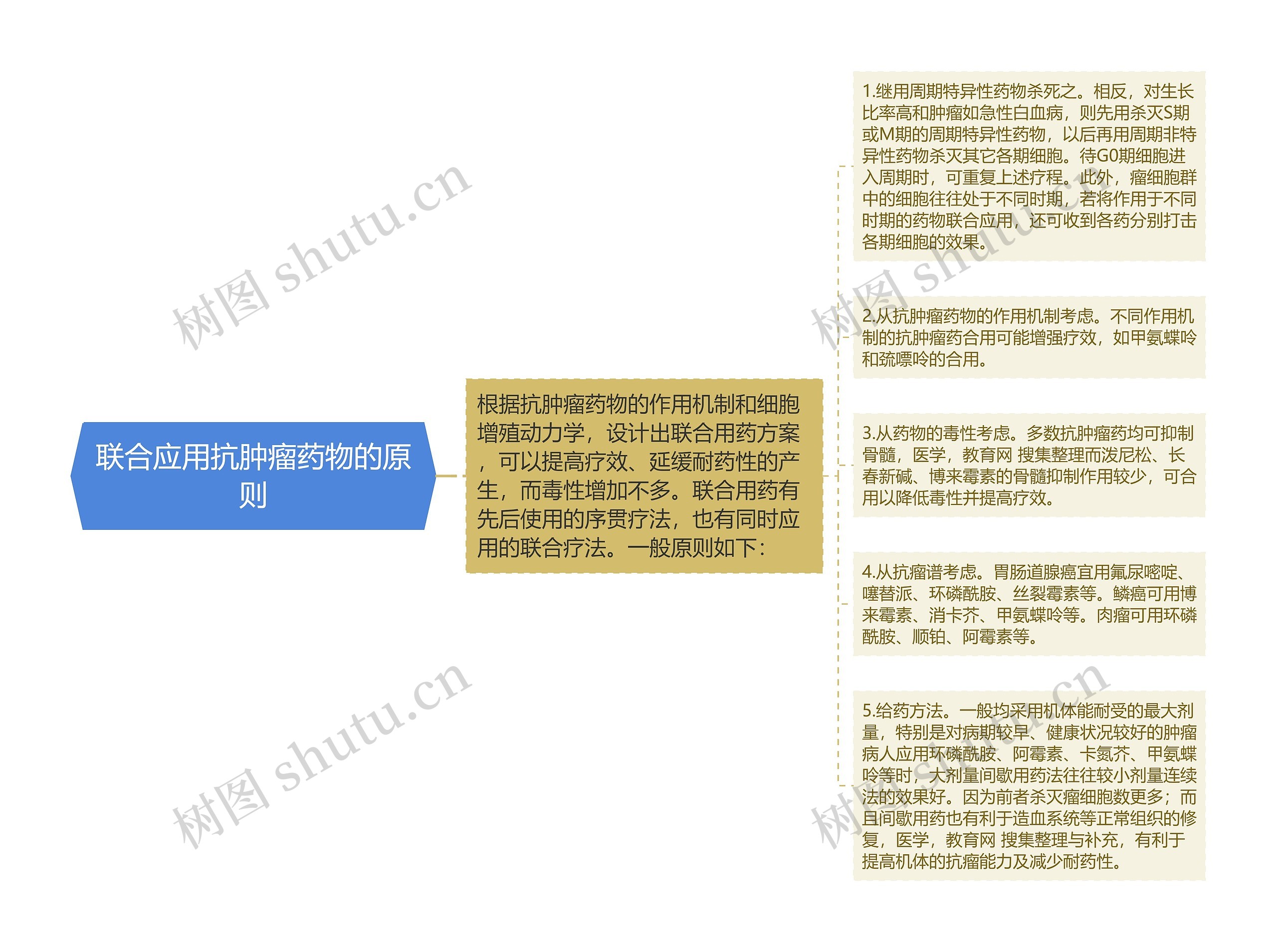 联合应用抗肿瘤药物的原则思维导图