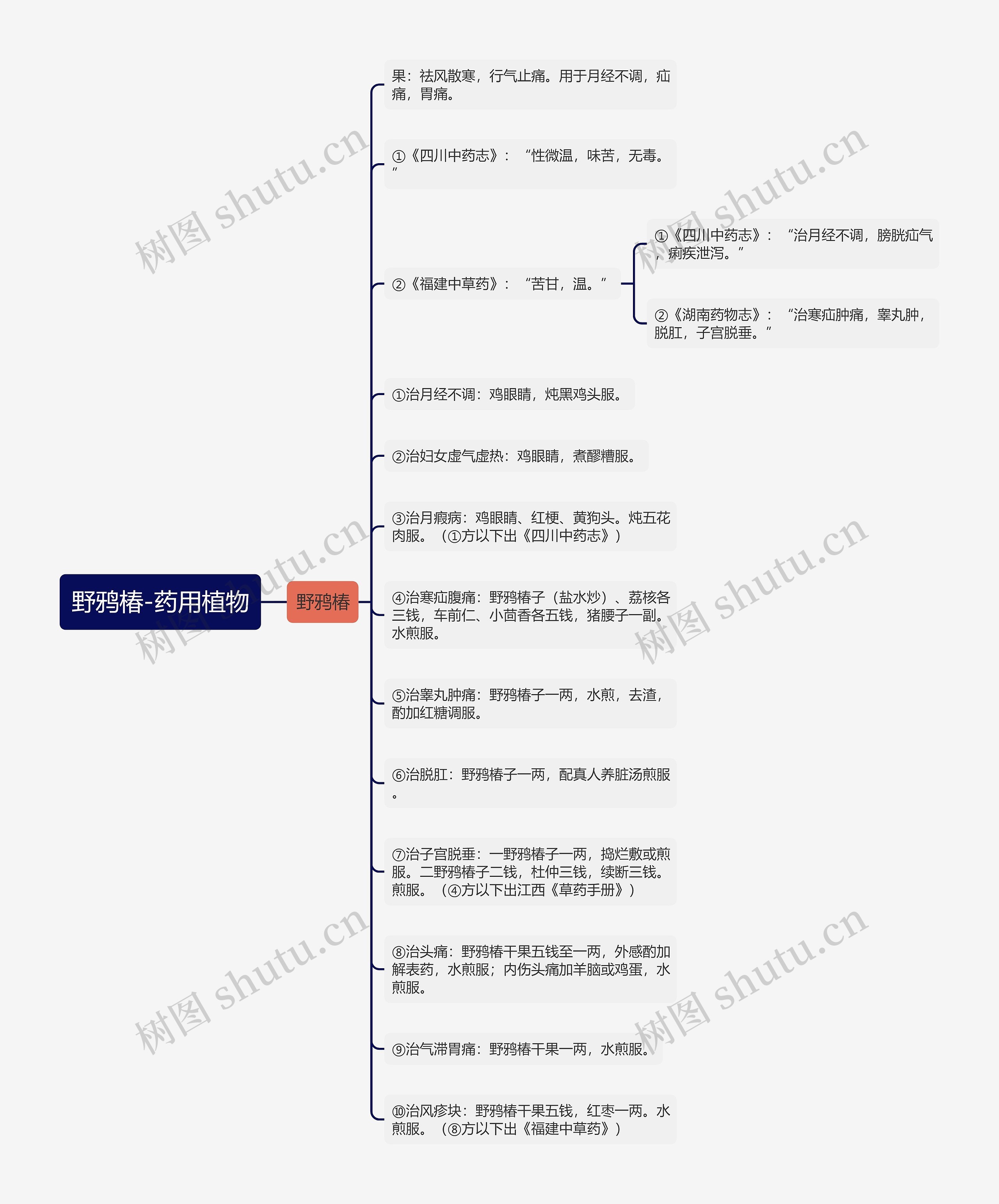 野鸦椿-药用植物 野鸦椿-药用植物