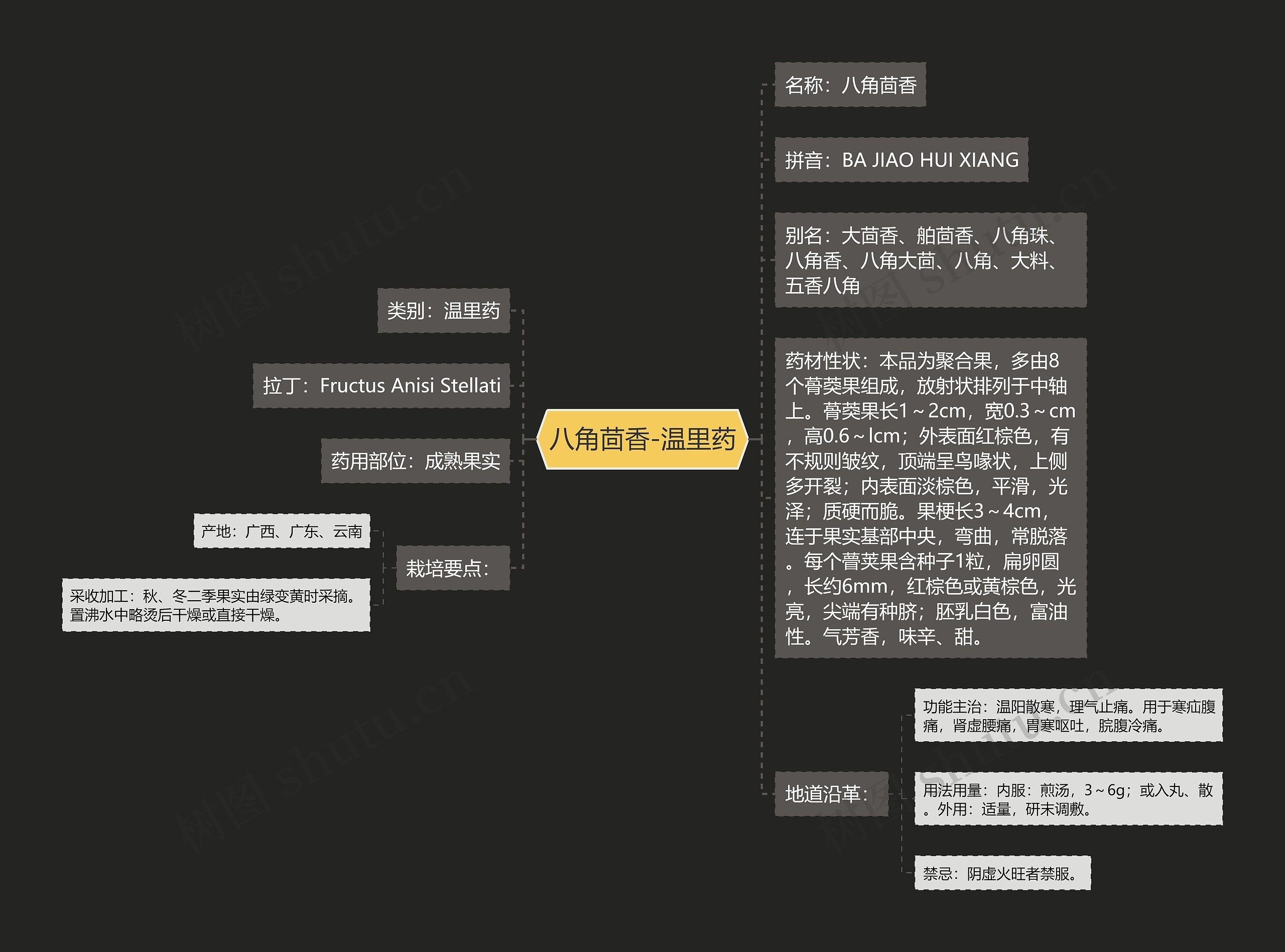 八角茴香-温里药思维导图