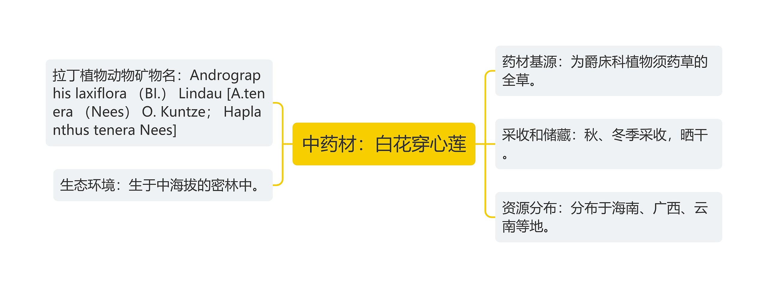 中药材：白花穿心莲思维导图