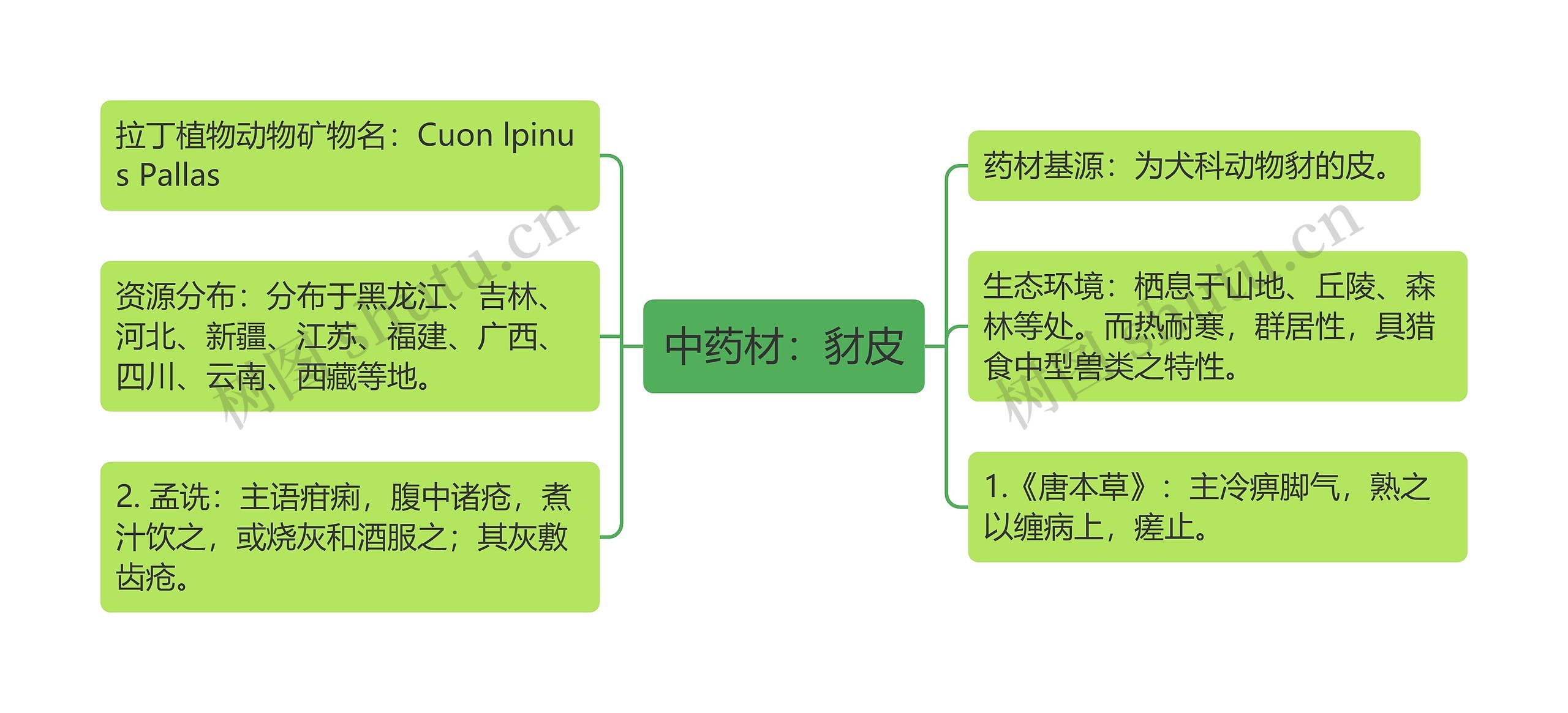 中药材：豺皮思维导图