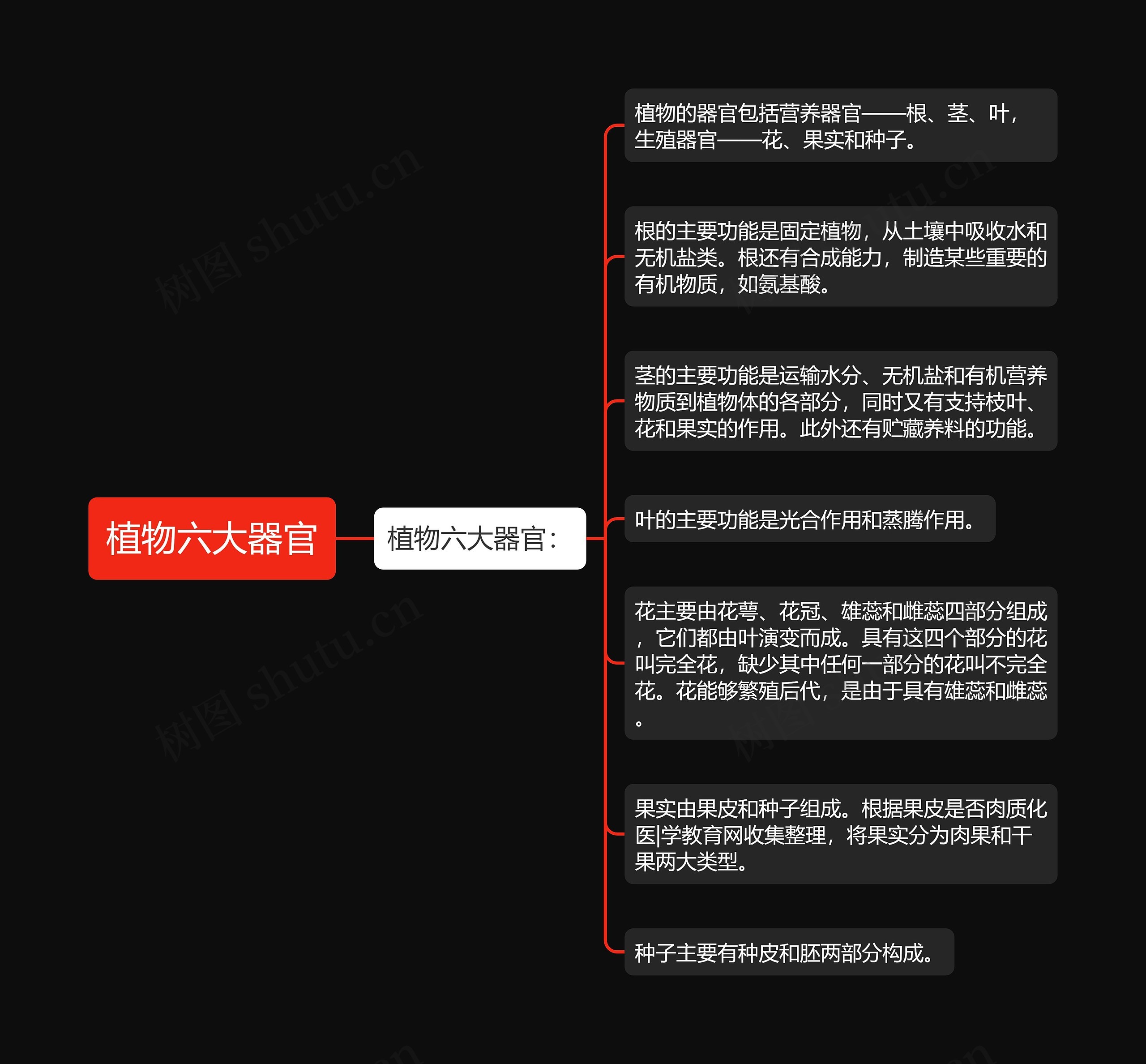 植物六大器官 植物六大器官