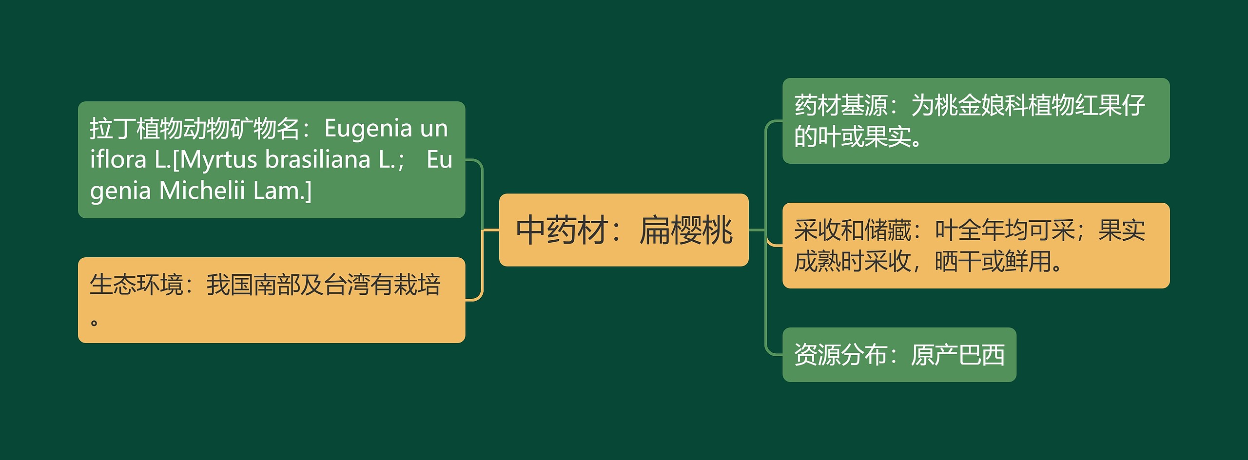 中药材:扁樱桃 中药材:扁樱桃