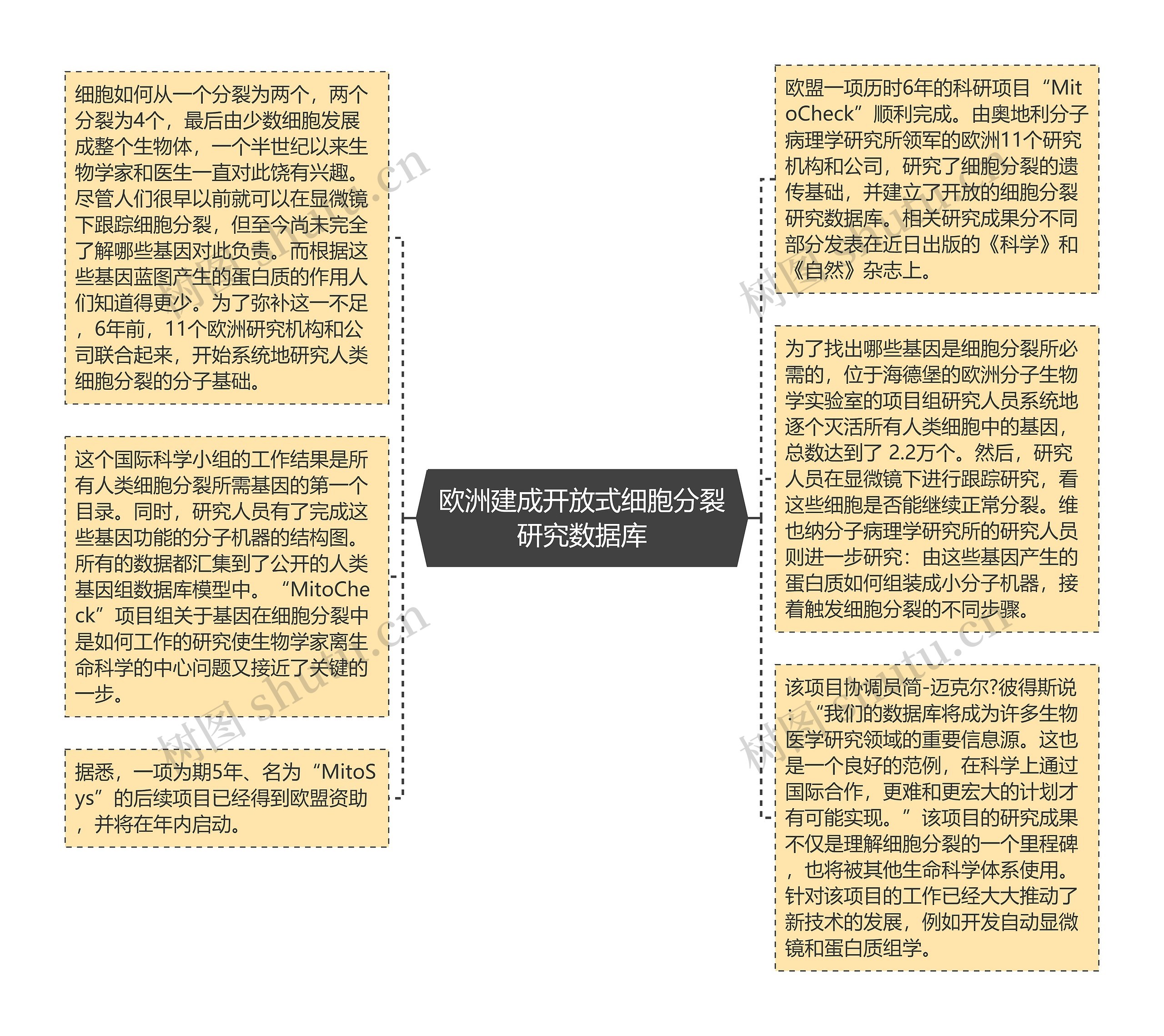 欧洲建成开放式细胞分裂研究数据库思维导图