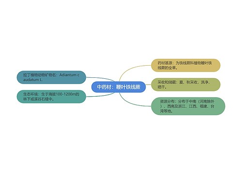 中药材：鞭叶铁线蕨