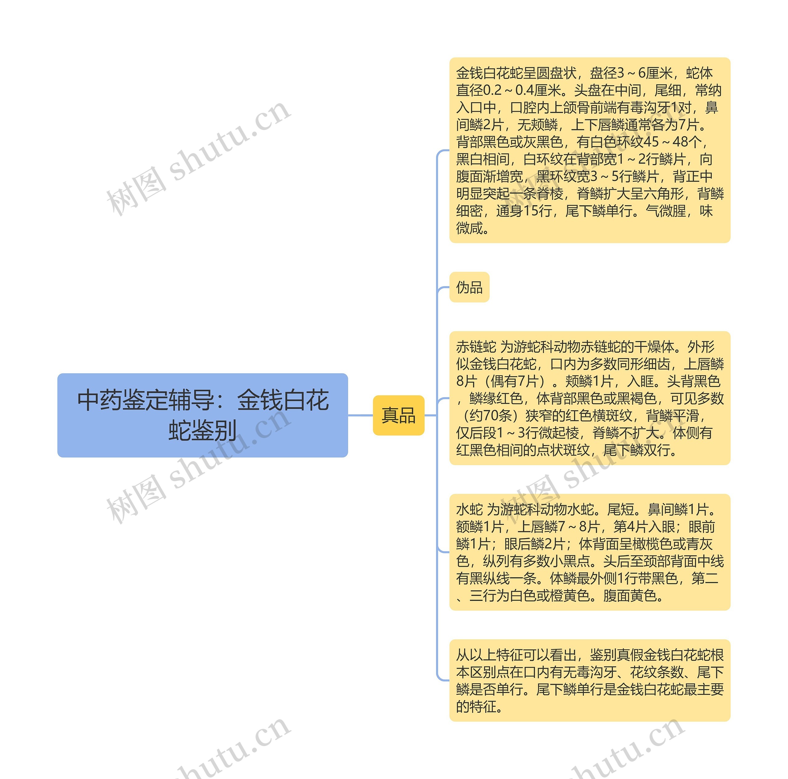 中药鉴定辅导：金钱白花蛇鉴别思维导图