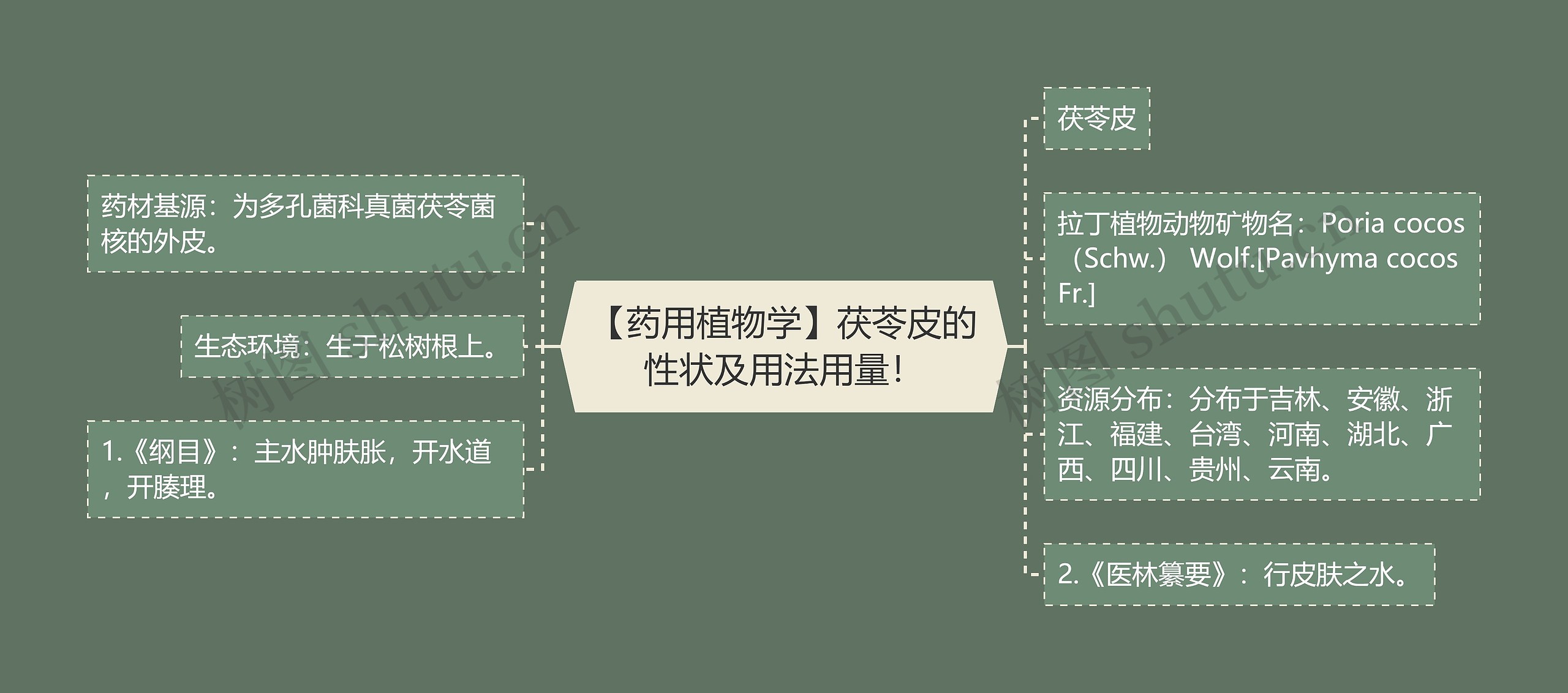 【药用植物学】茯苓皮的性状及用法用量！思维导图