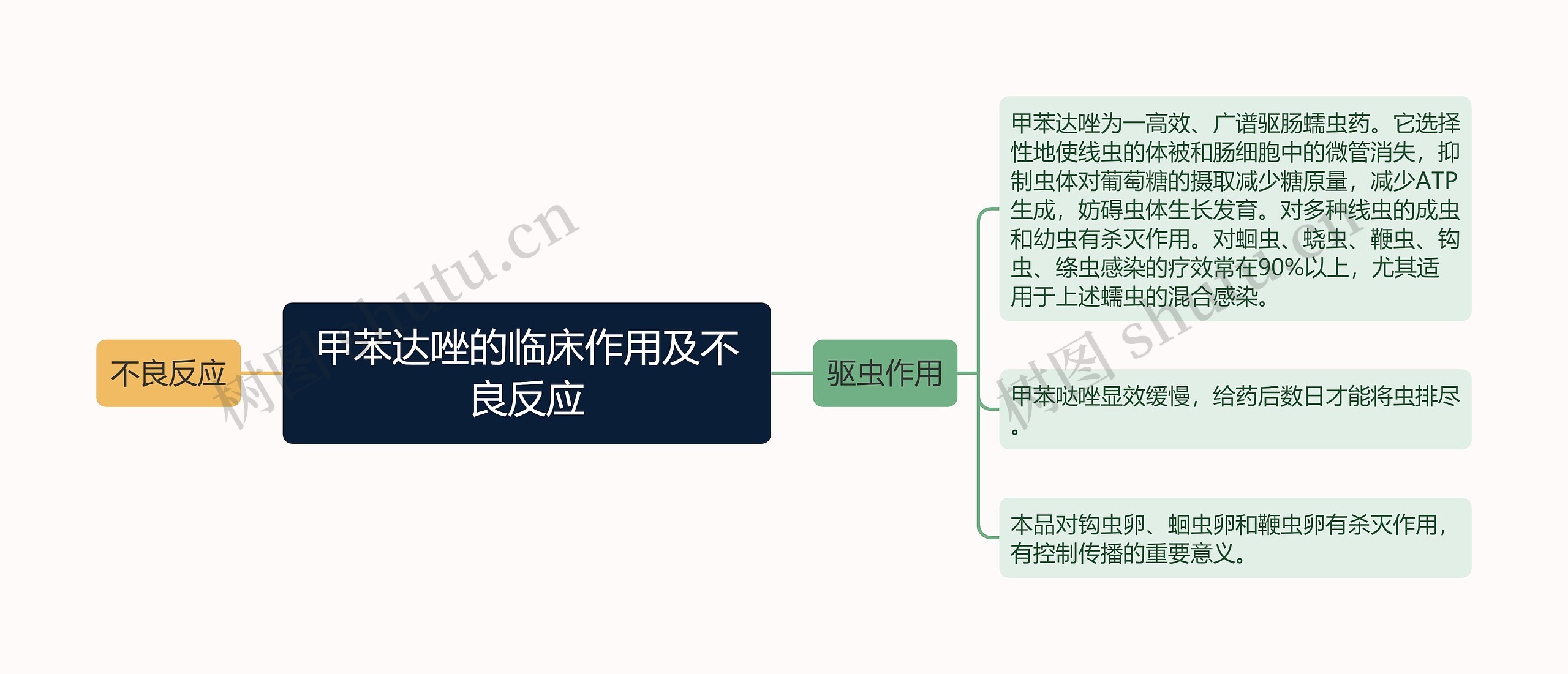 甲苯达唑的临床作用及不良反应思维导图