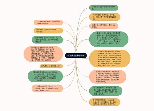 草血竭-药用植物学思维导图