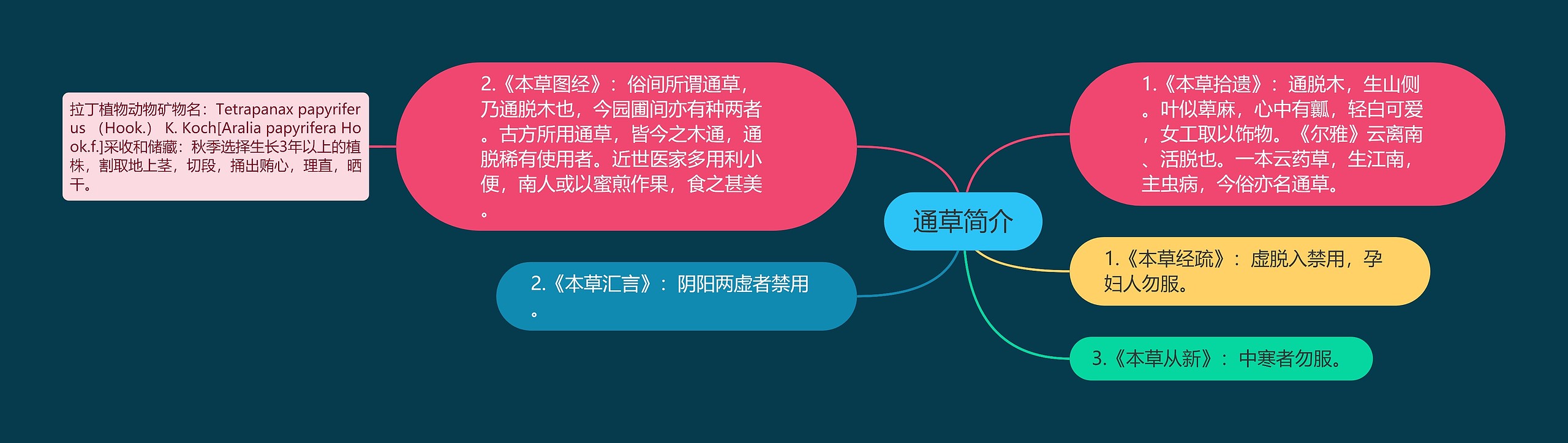 通草简介 通草简介