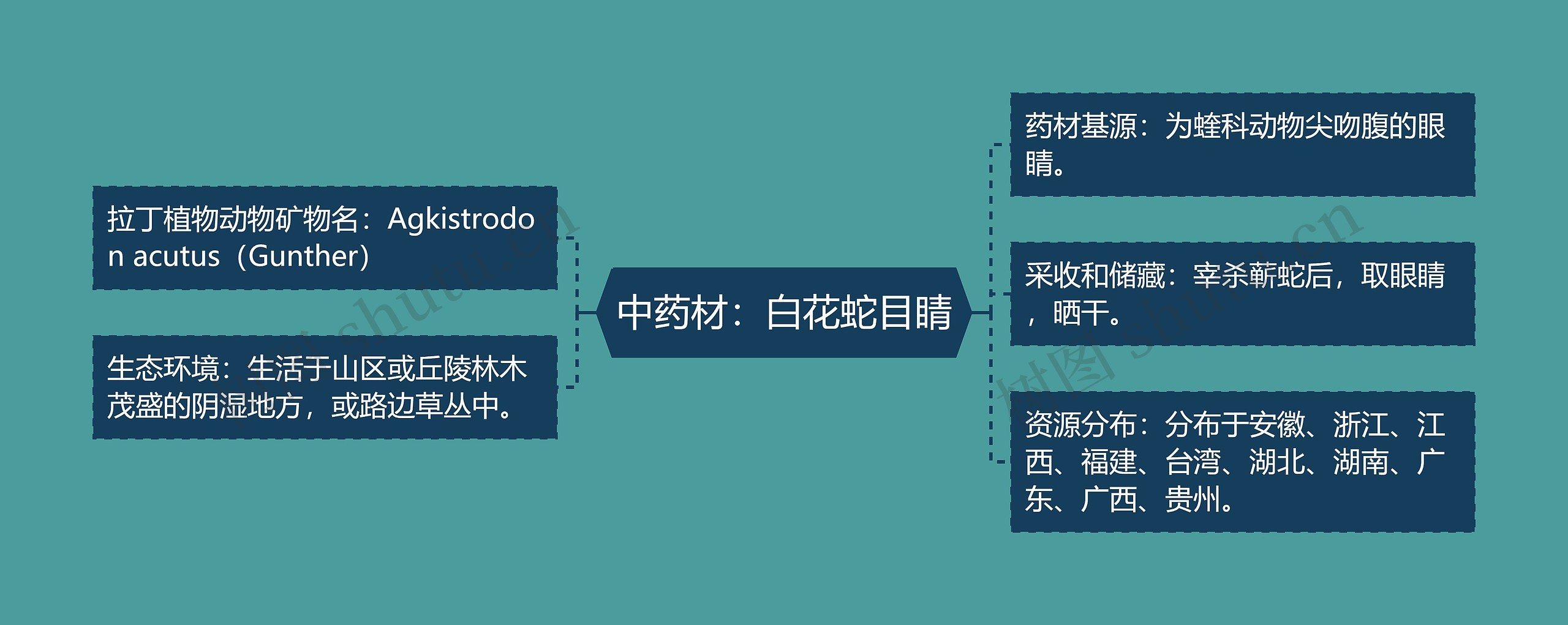 中药材：白花蛇目睛思维导图