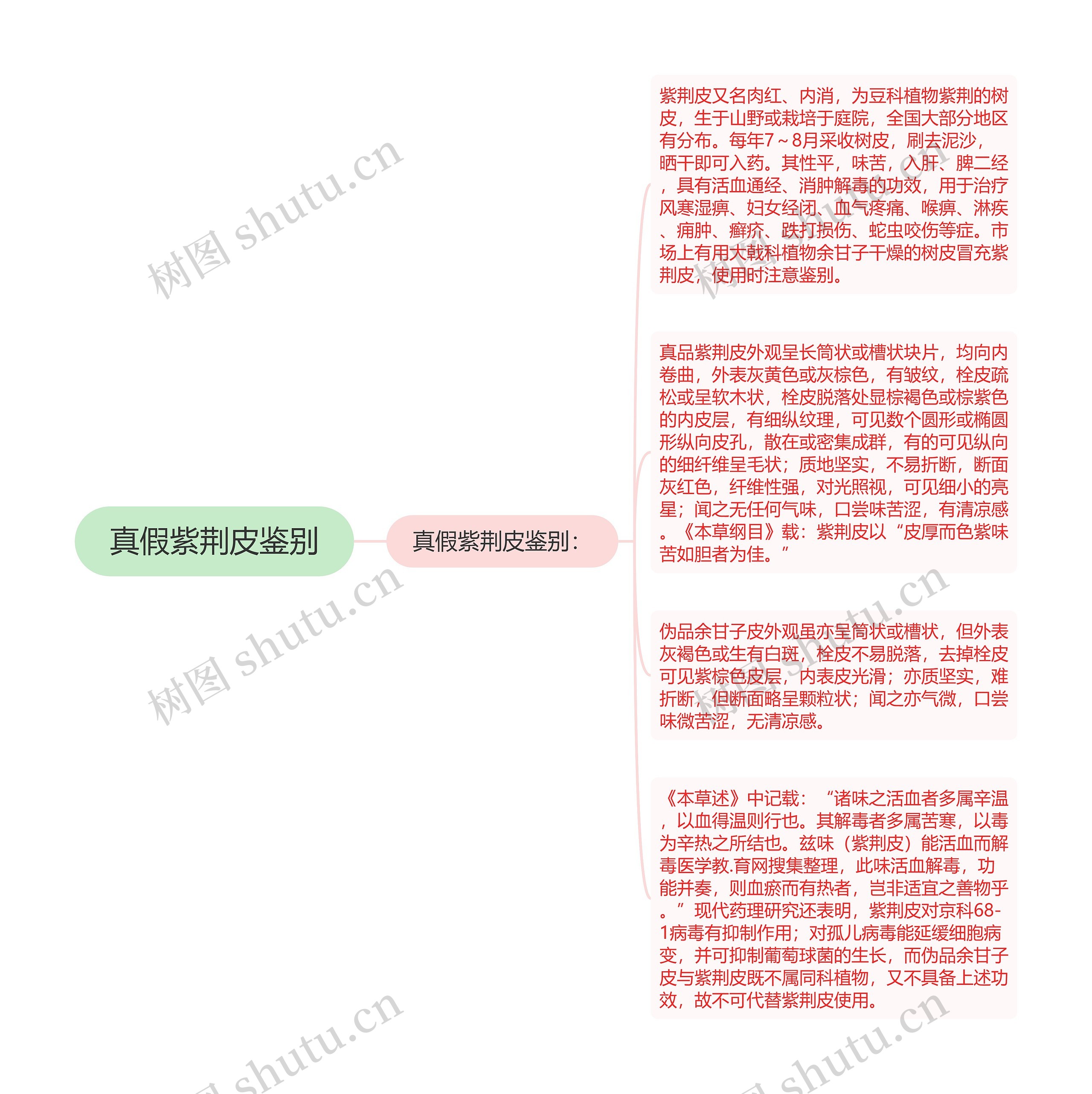 真假紫荆皮鉴别思维导图