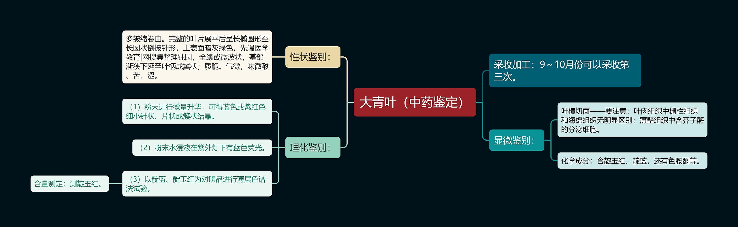 大青叶（中药鉴定）思维导图