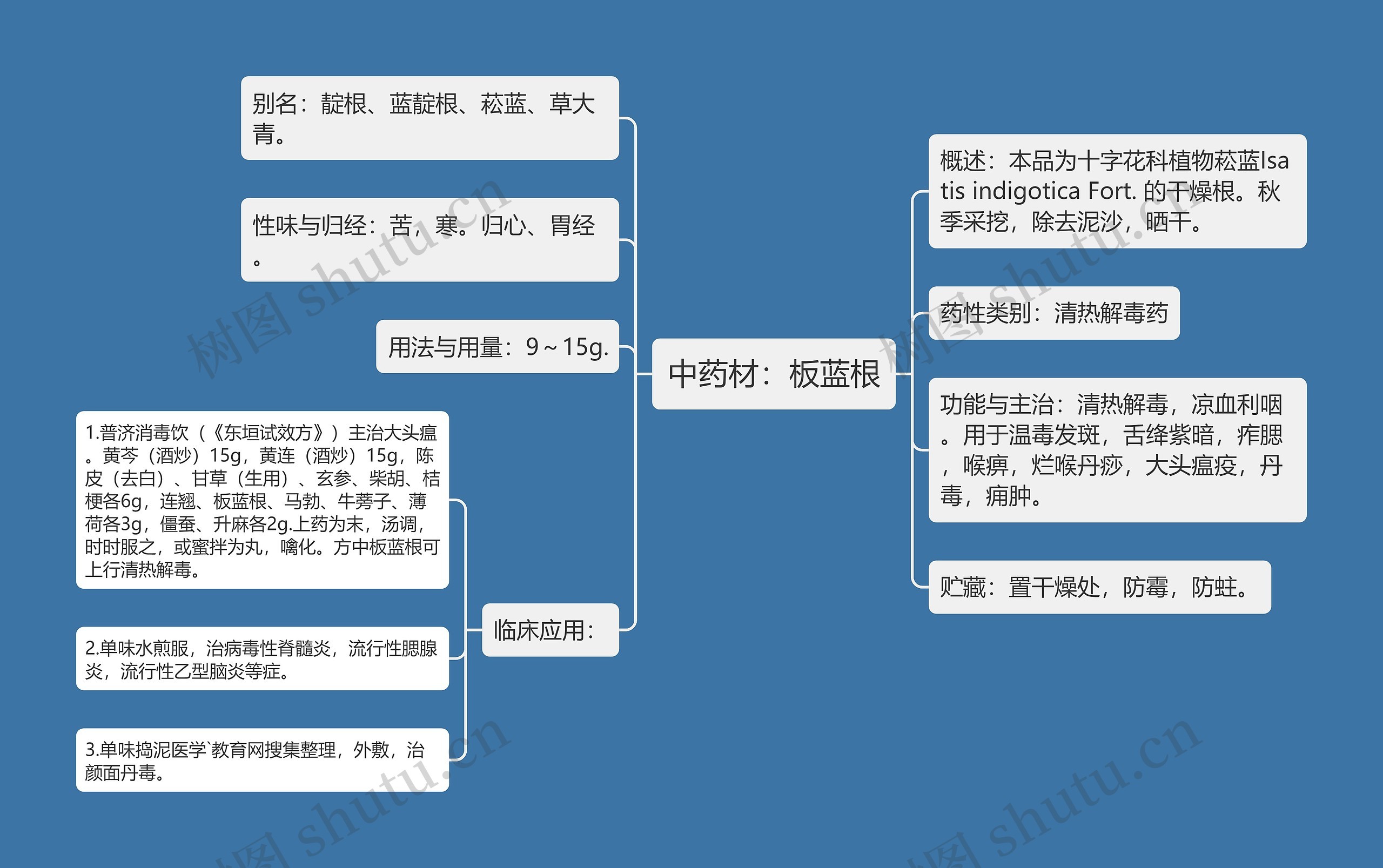 中药材:板蓝根 中药材:板蓝根