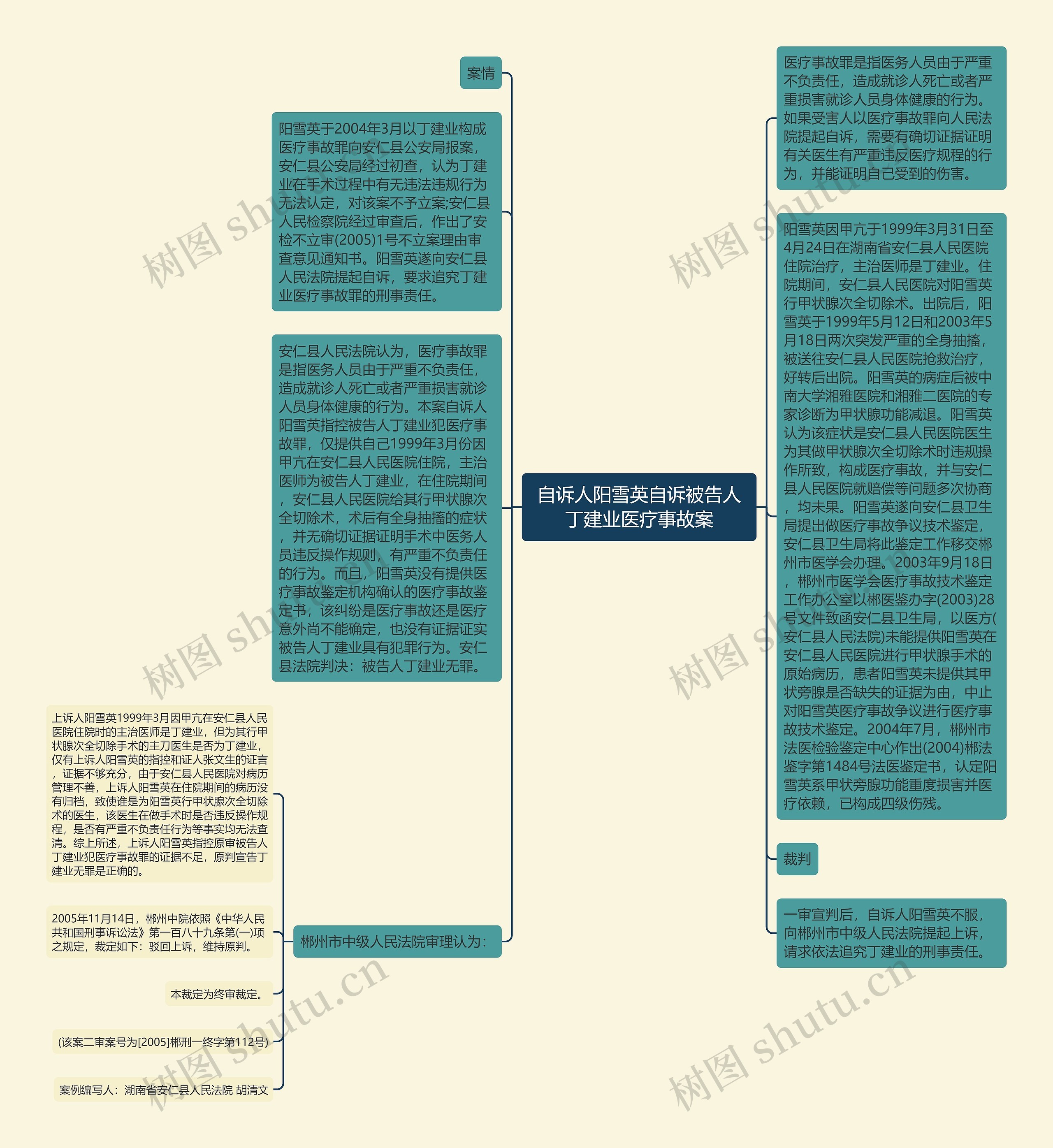 自诉人阳雪英自诉被告人丁建业医疗事故案思维导图