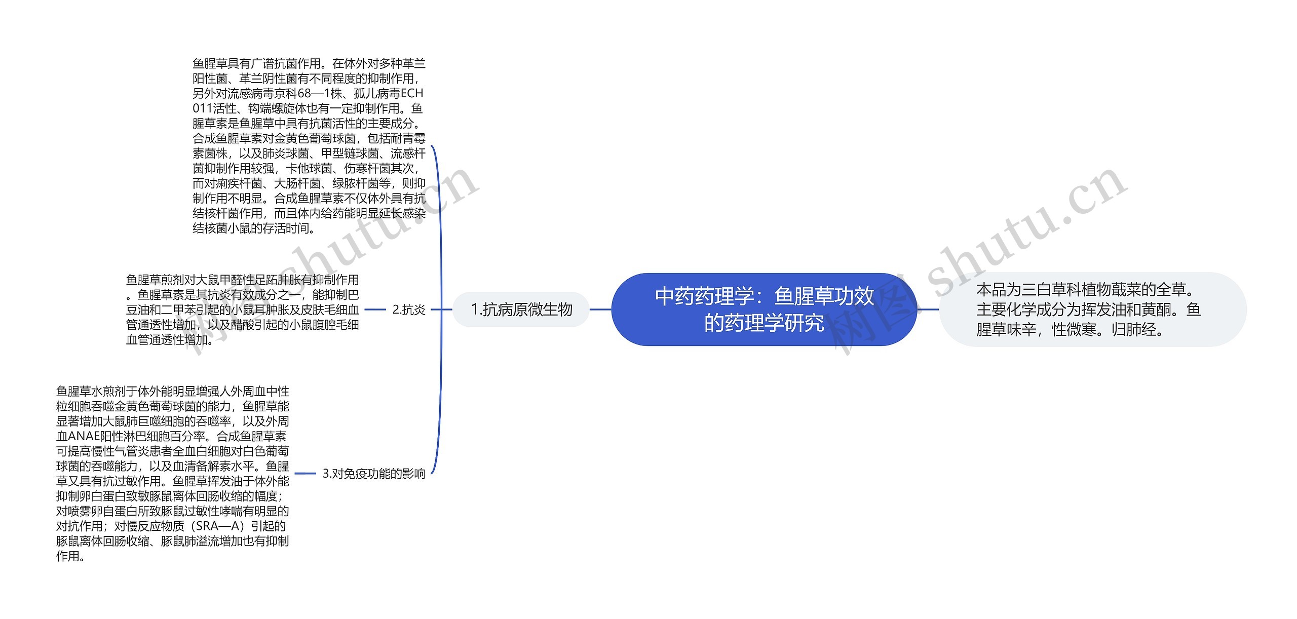 中药药理学：鱼腥草功效的药理学研究思维导图