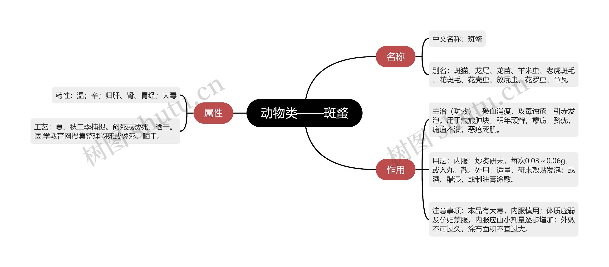 动物类——斑蝥