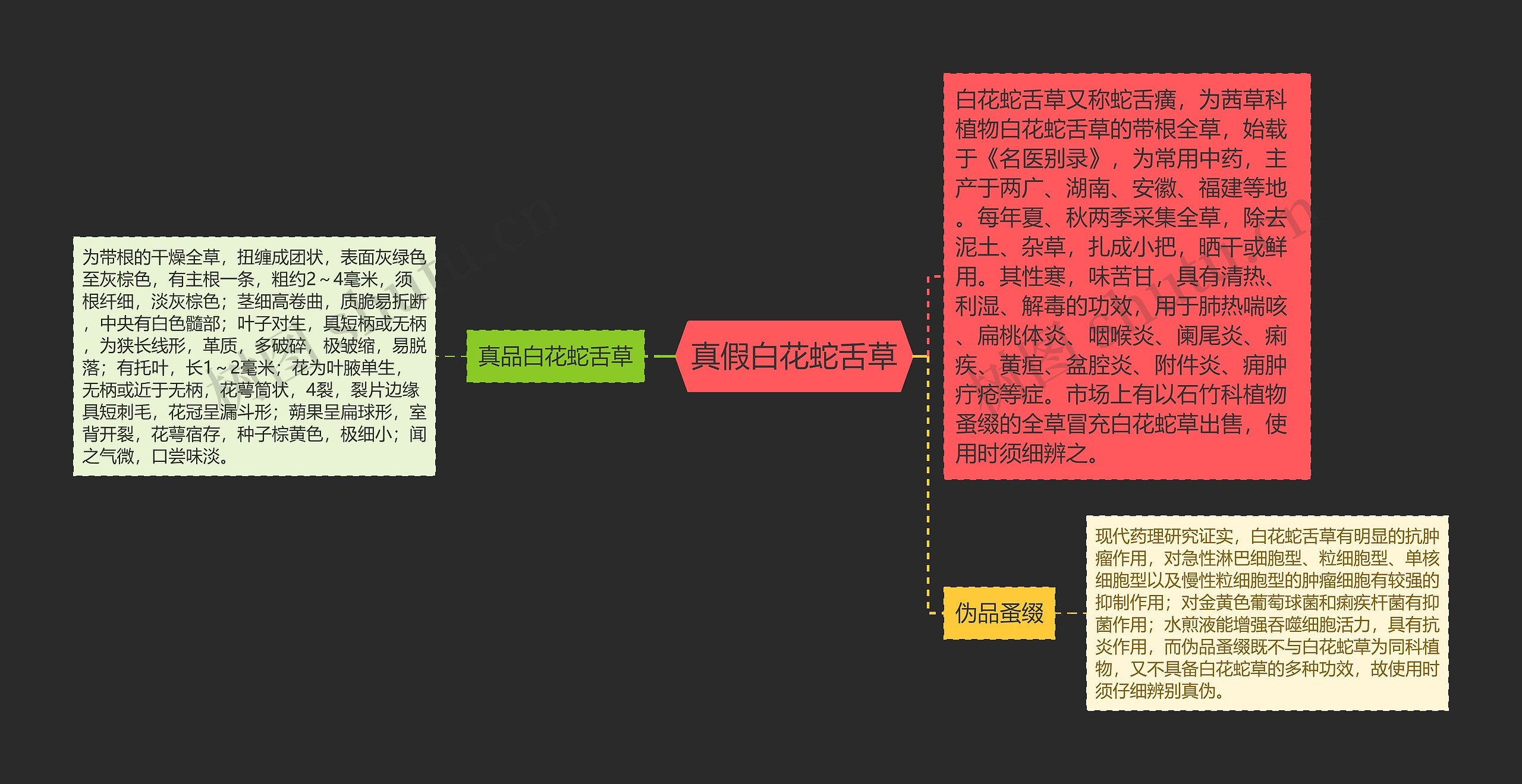 真假白花蛇舌草思维导图高清图 真假白花蛇舌草思维导图