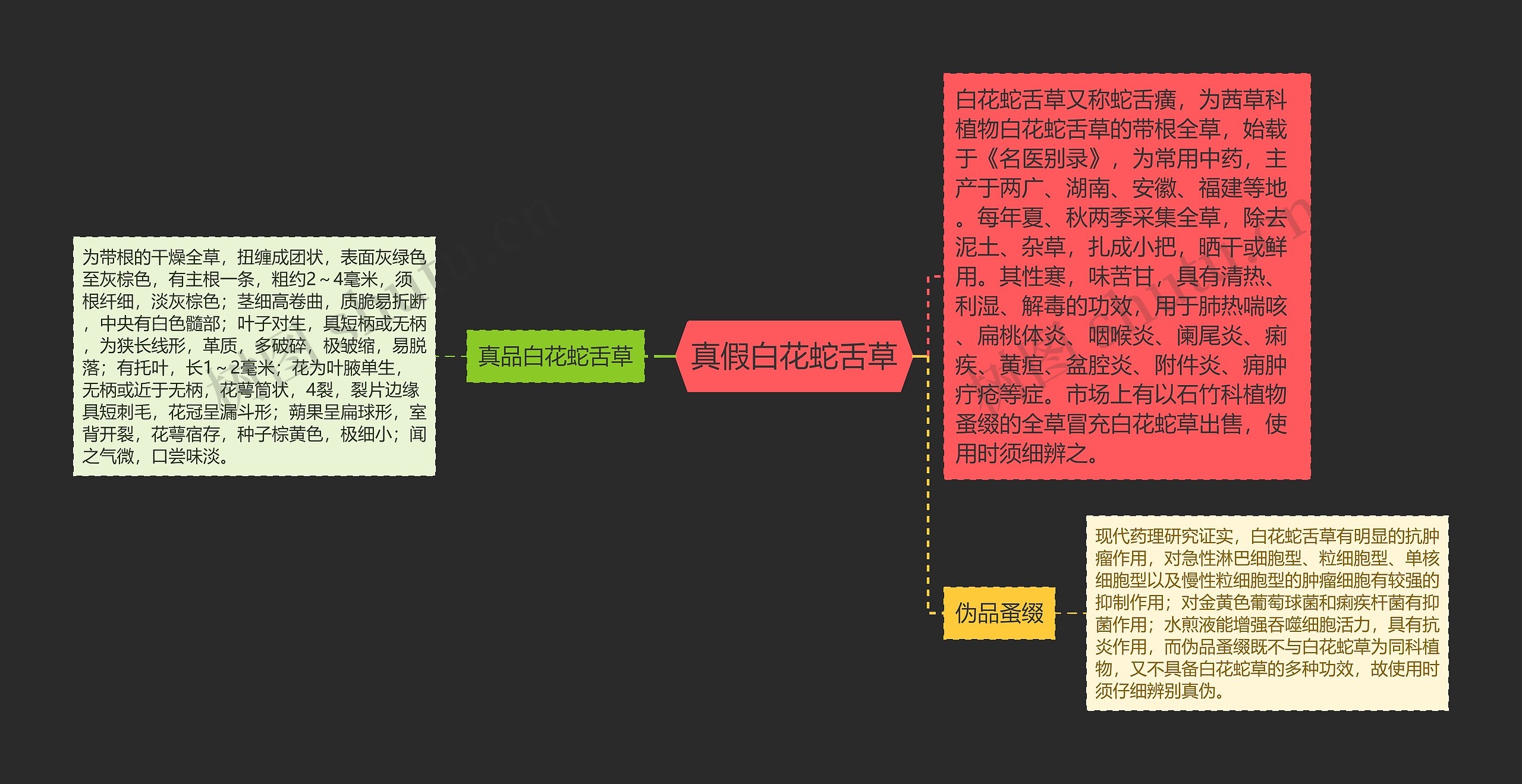 真假白花蛇舌草思维导图