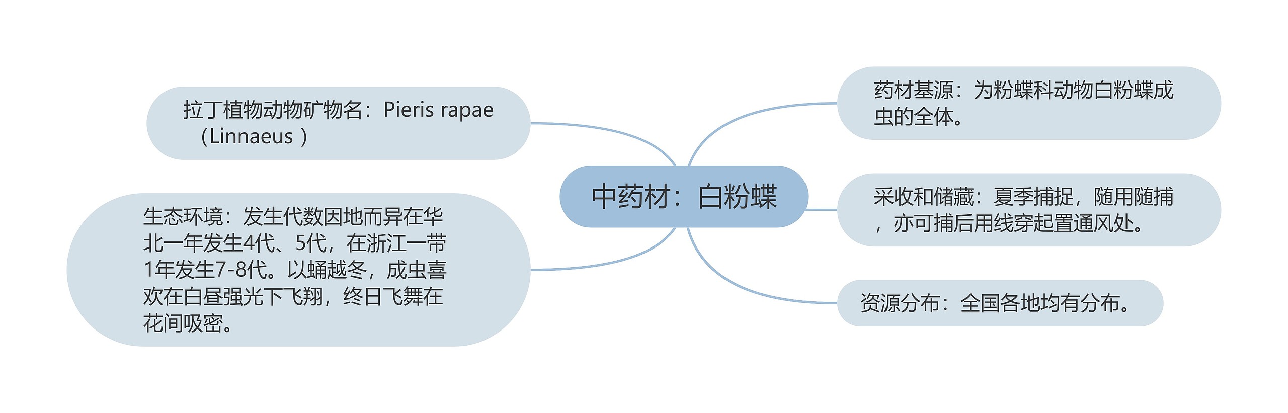 中药材：白粉蝶思维导图