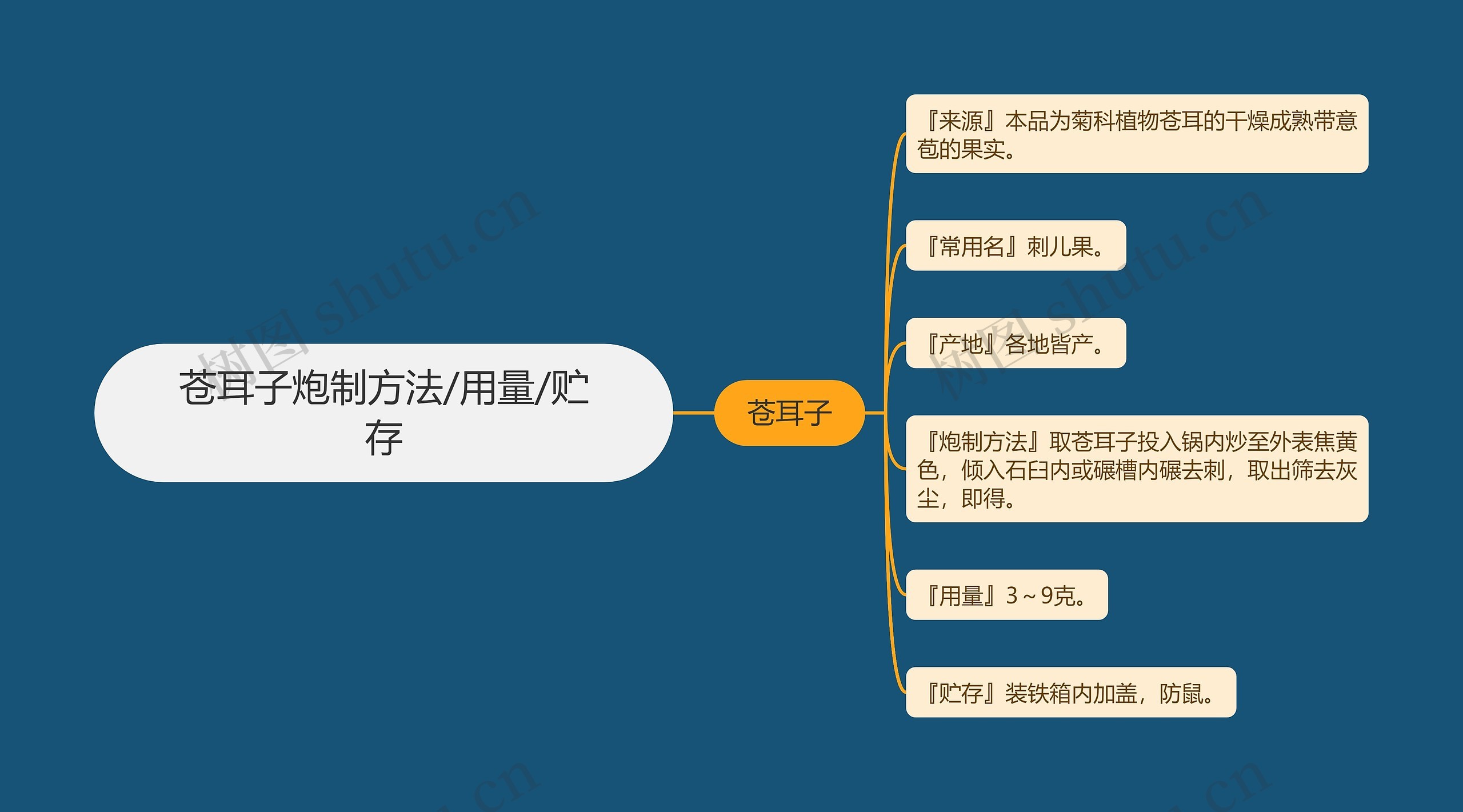 苍耳子炮制方法/用量/贮存 苍耳子炮制方法/用量/贮存