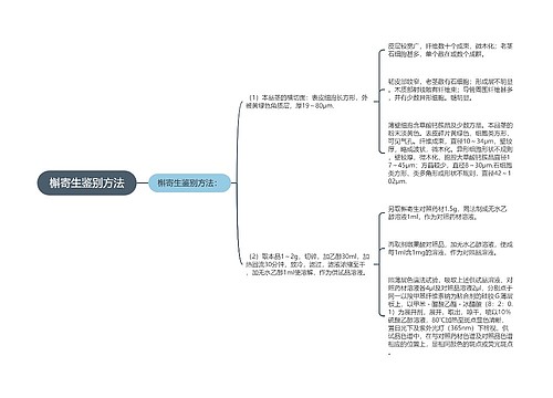 槲寄生鉴别方法