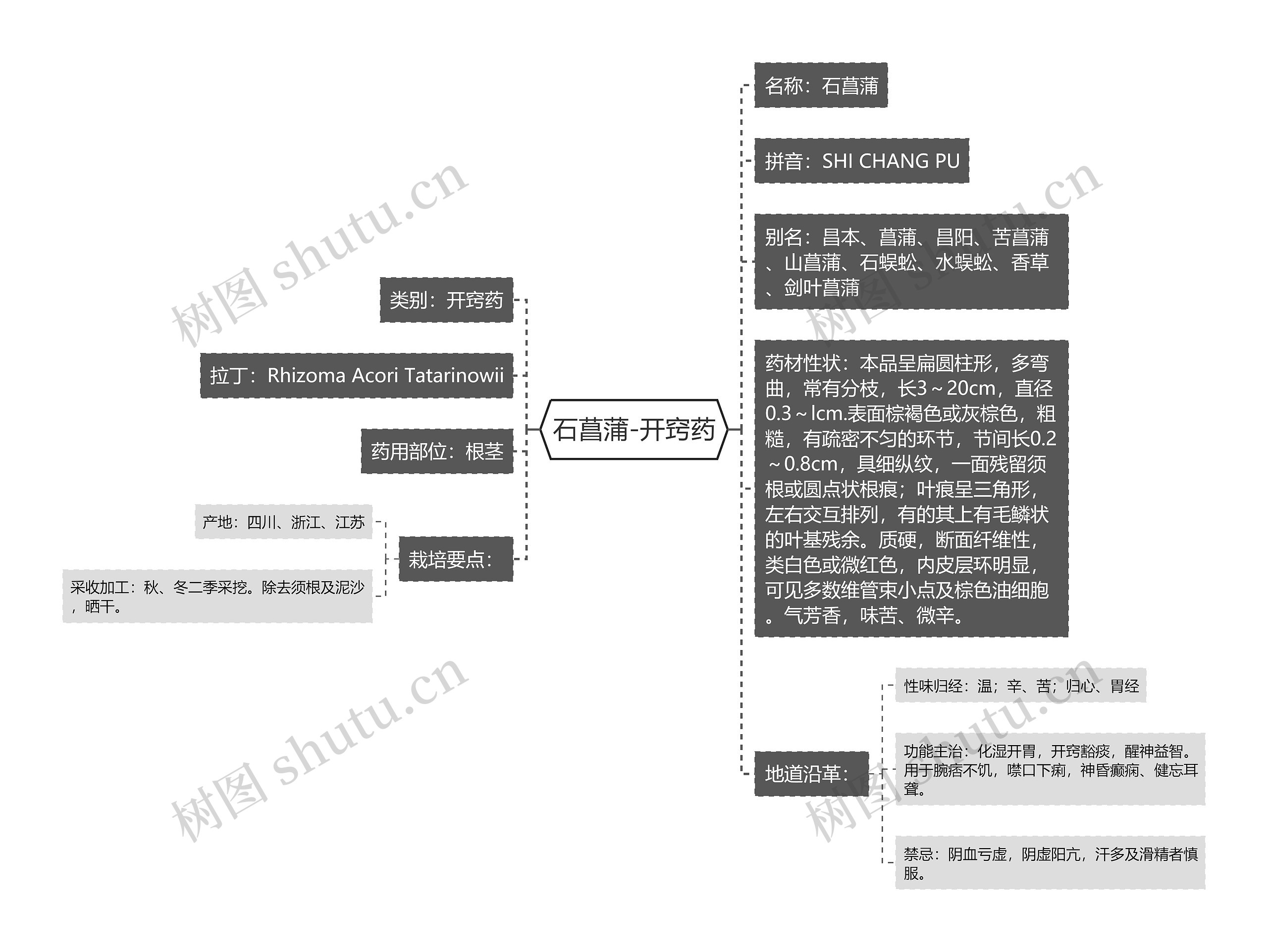 石菖蒲-开窍药 石菖蒲-开窍药