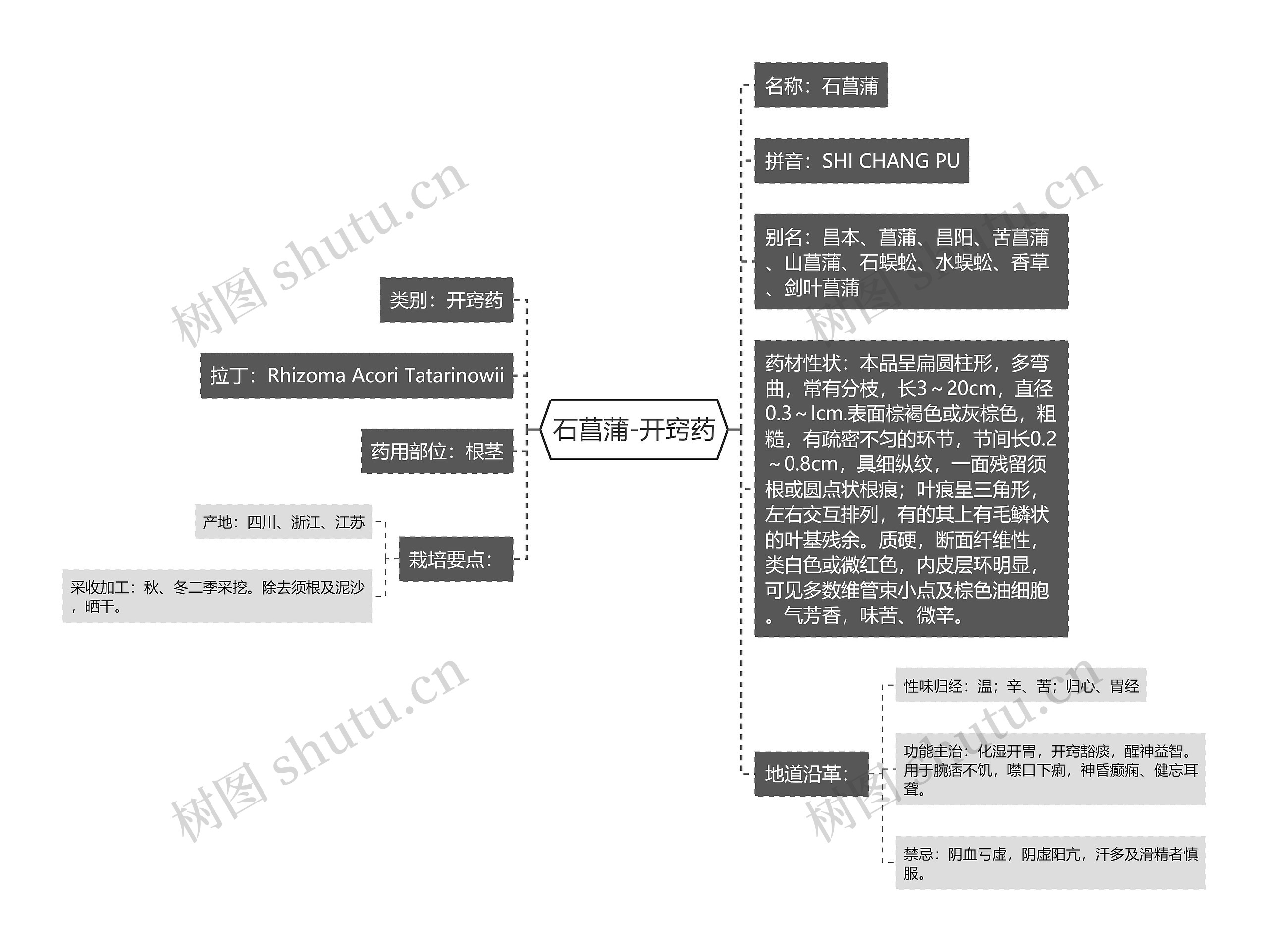 石菖蒲-开窍药思维导图