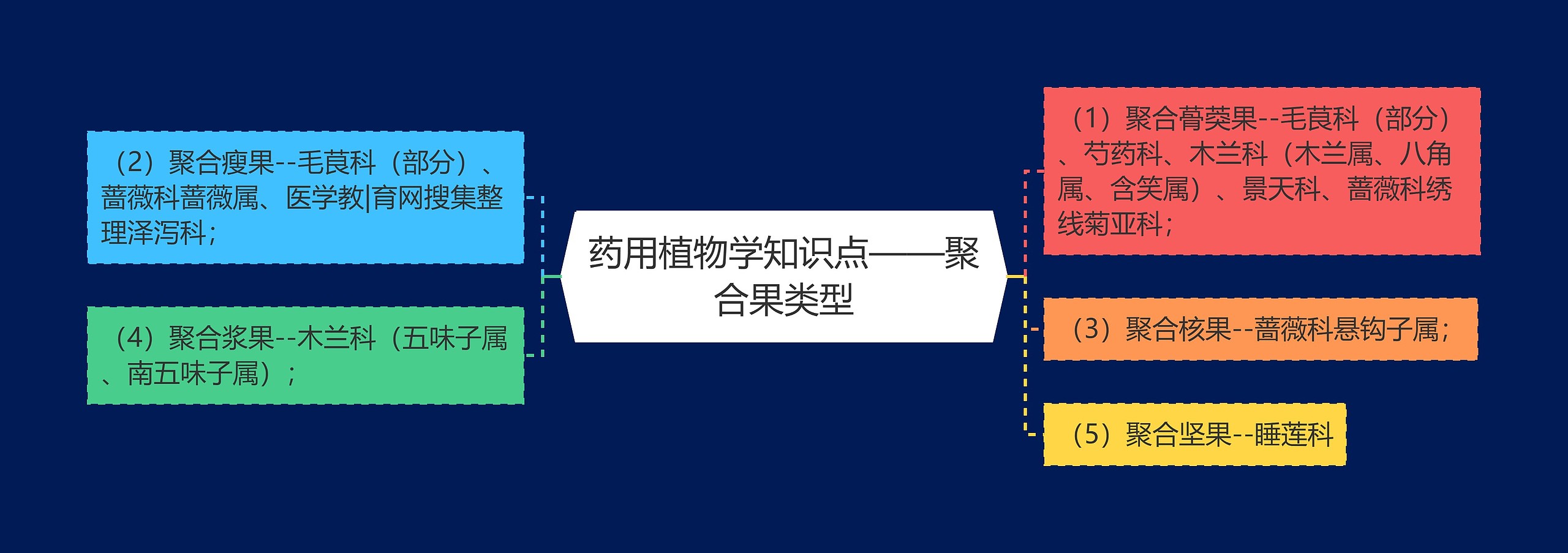 药用植物学知识点——聚合果类型思维导图