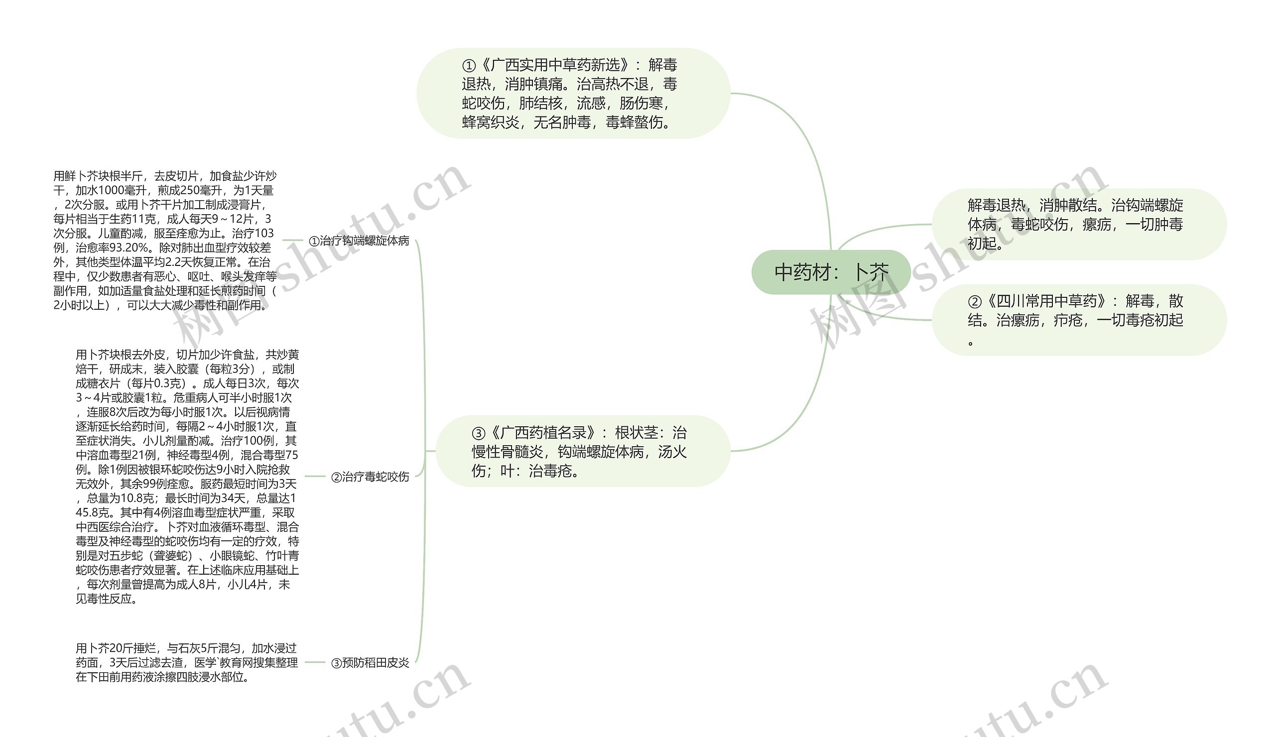 中药材:卜芥 中药材:卜芥