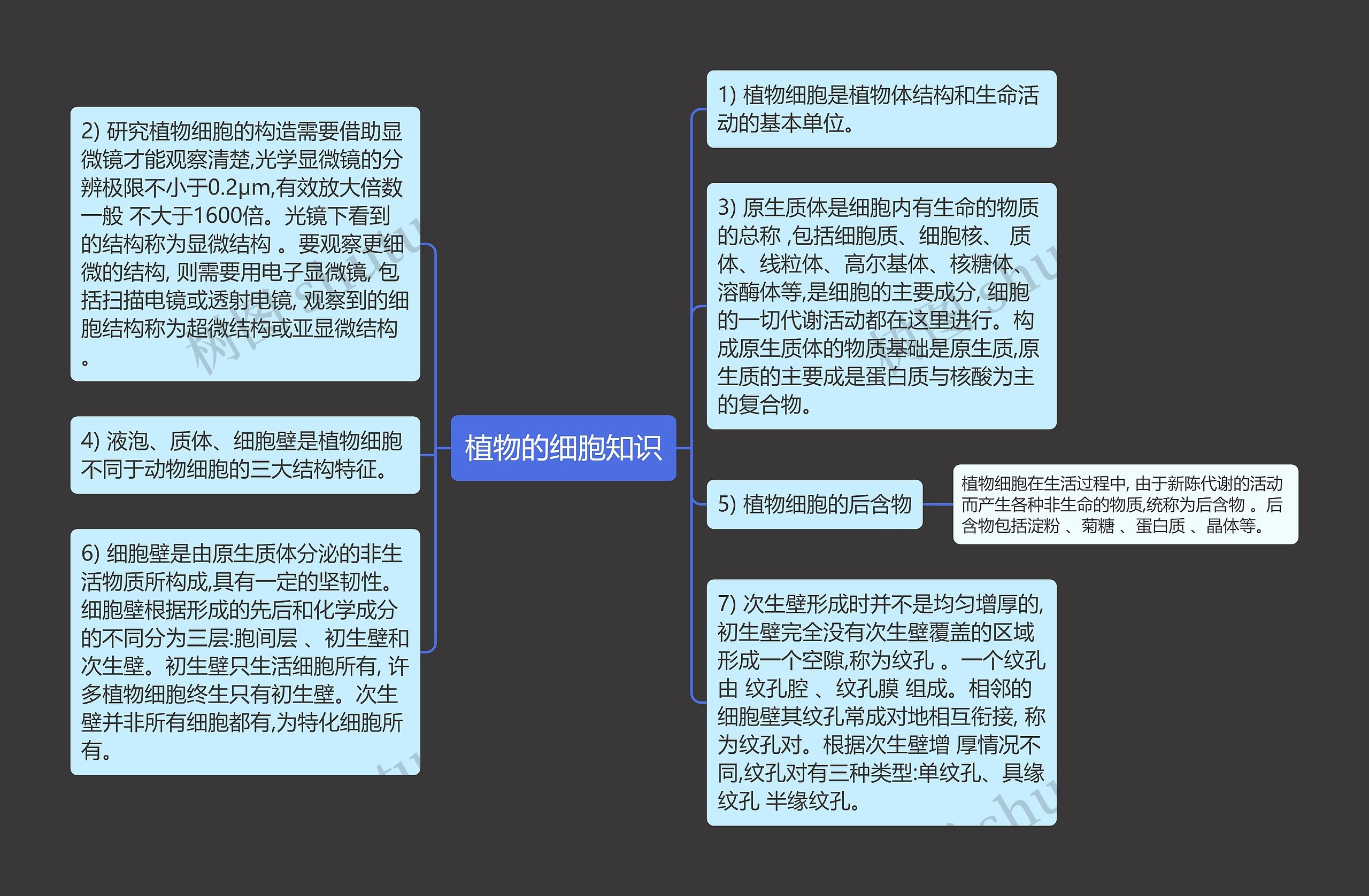 植物的细胞知识思维导图