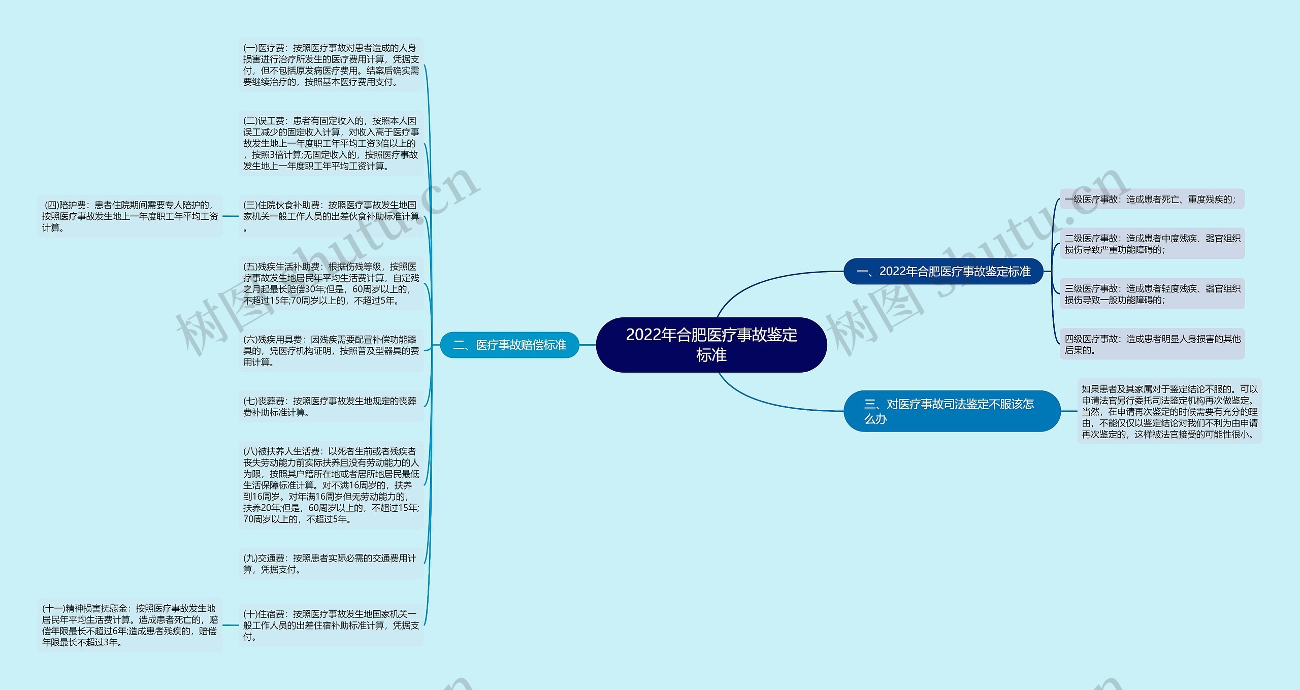 2022年合肥医疗事故鉴定标准思维导图