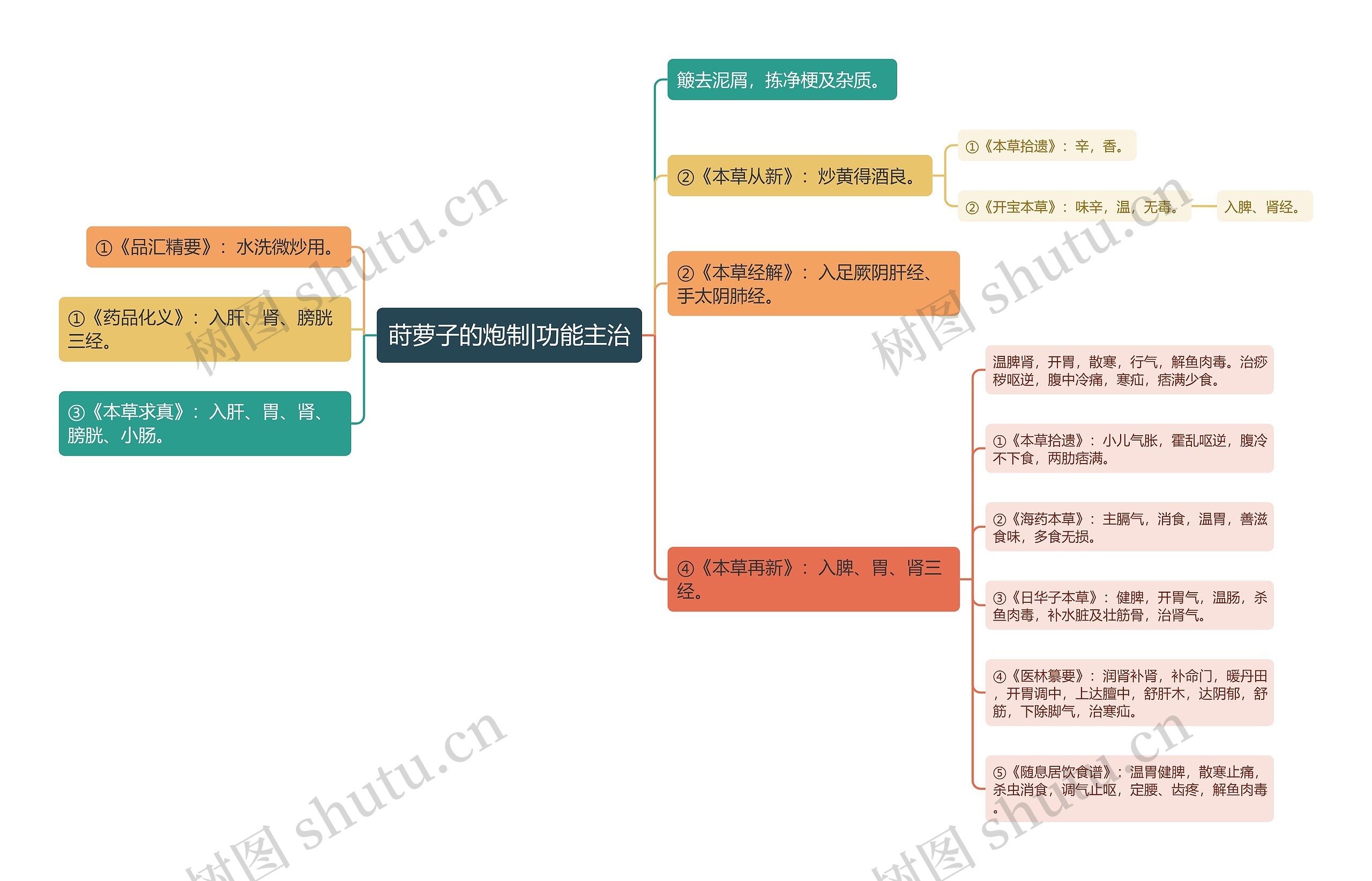 莳萝子的炮制|功能主治思维导图